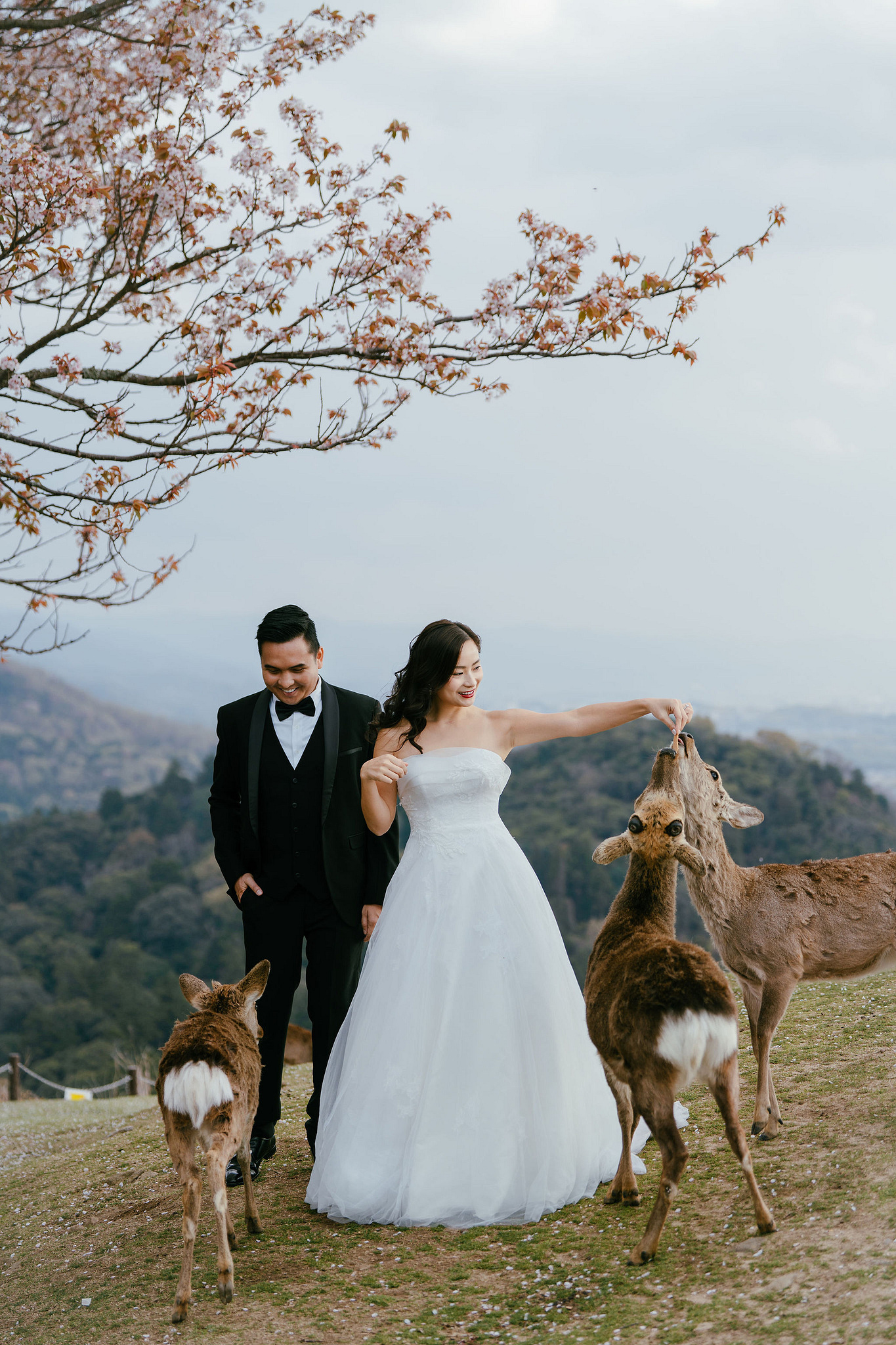 Kyoto Pre-Wedding Photoshoot | Gion Canal, Ninenzaka & Mount Wakakusa at Mount Wakakusa, Nara pre-wedding photo