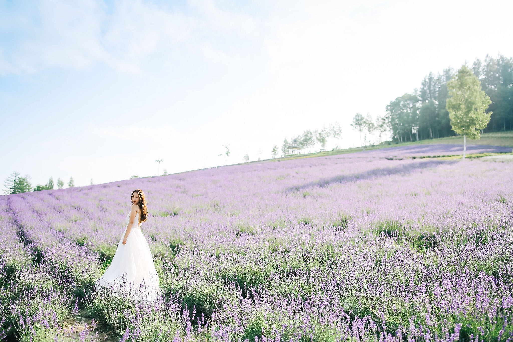 Photographer In Hokkaido: Pre-Wedding Photoshoot At Blue Pond And Saika No Sato Flower Farm at Blue Pond & Lavender Park pre-wedding photo
