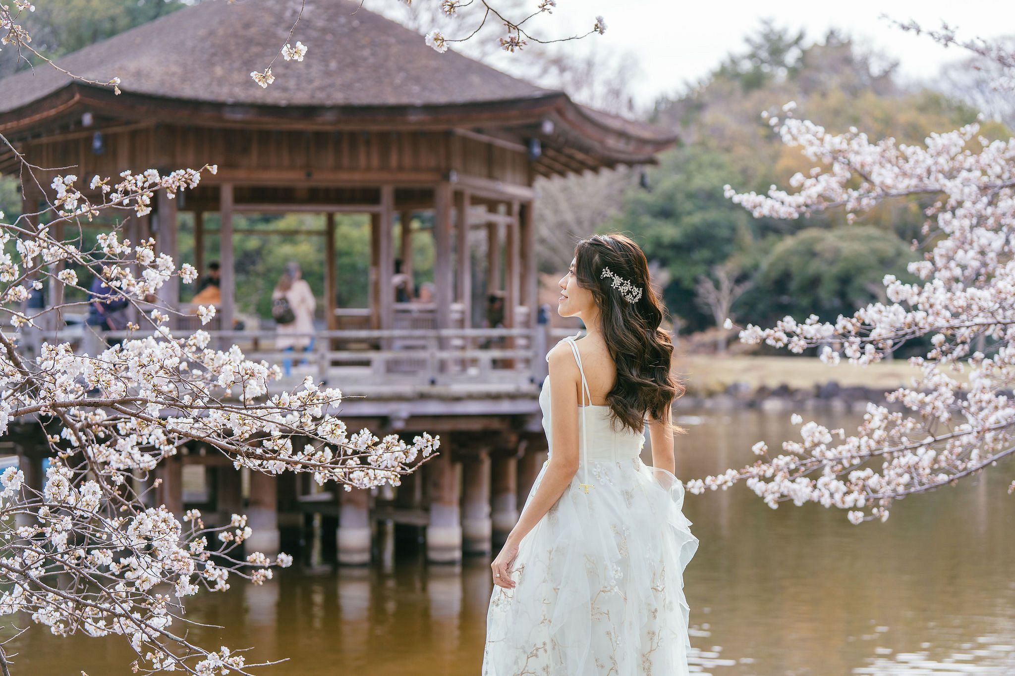 Kyoto Pre-Wedding Photoshoot | Nara Park, Gion & Mount Wakakusa at Nara Park pre-wedding photo