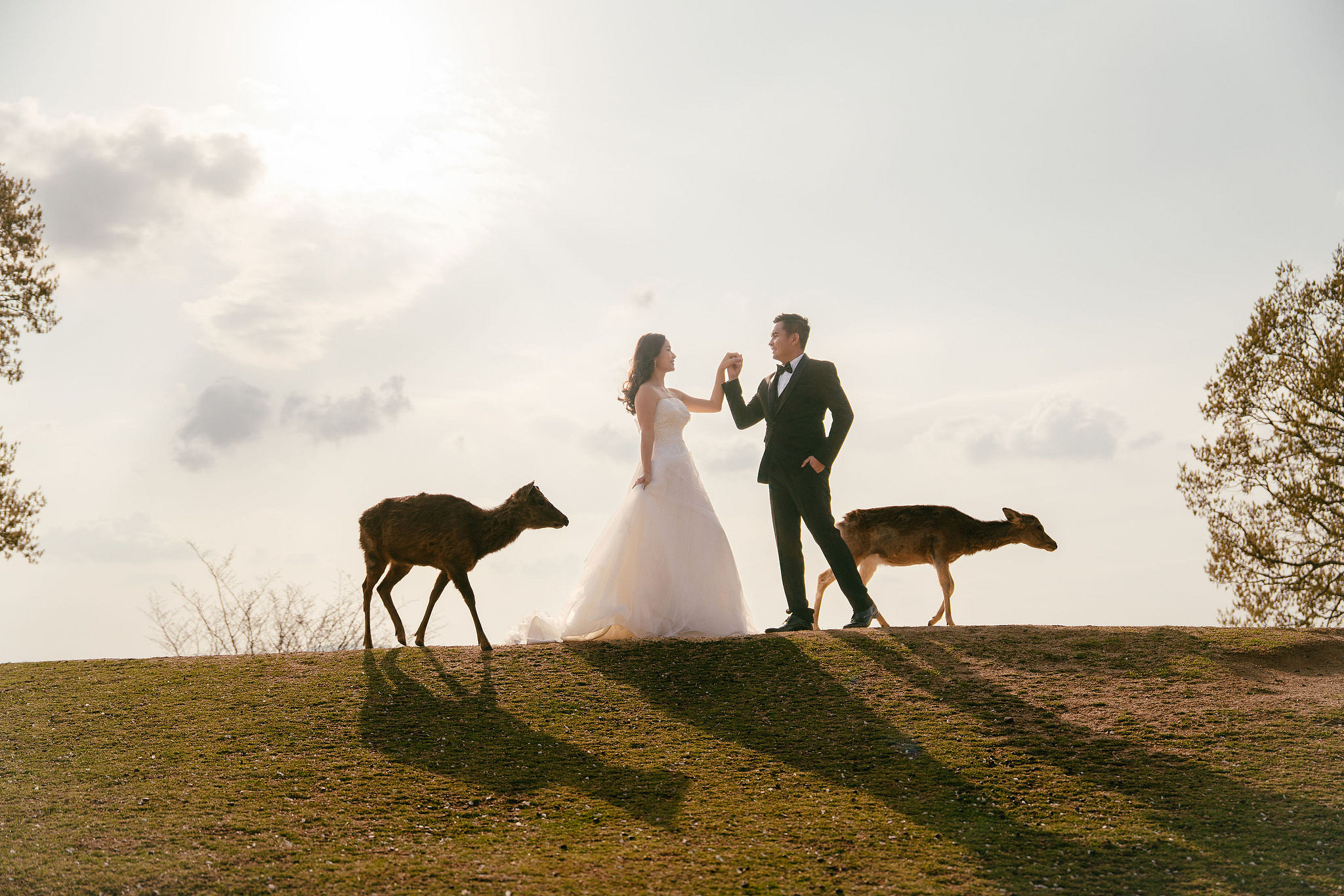 Kyoto Pre-Wedding Photoshoot | Gion Canal, Ninenzaka & Mount Wakakusa at Mount Wakakusa, Nara pre-wedding photo