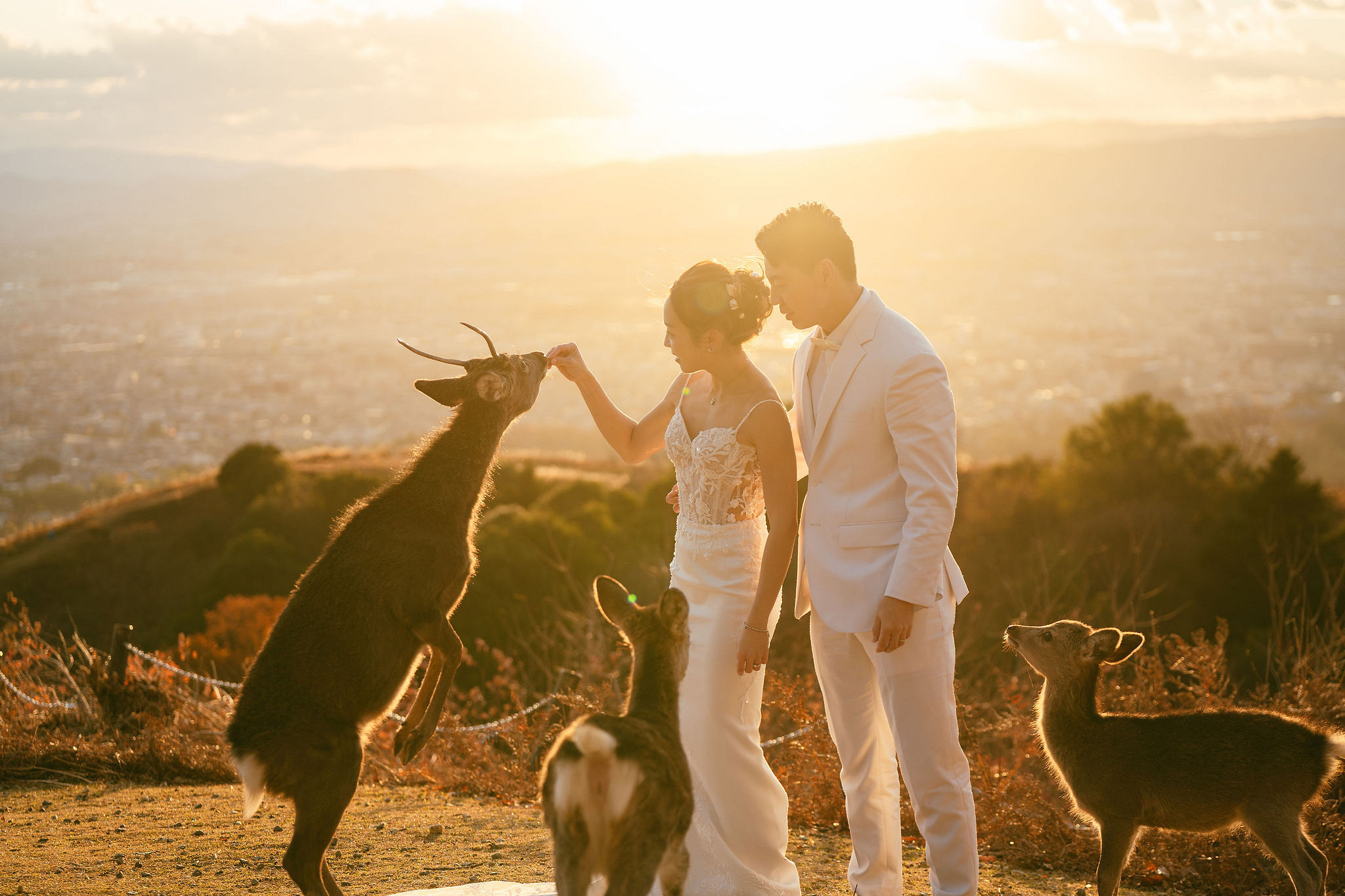Kyoto Pre-Wedding Photoshoot | Ninenzaka, Nara Deer Park & Mt. Wakakusa at Mt. Wakakusa pre-wedding photo