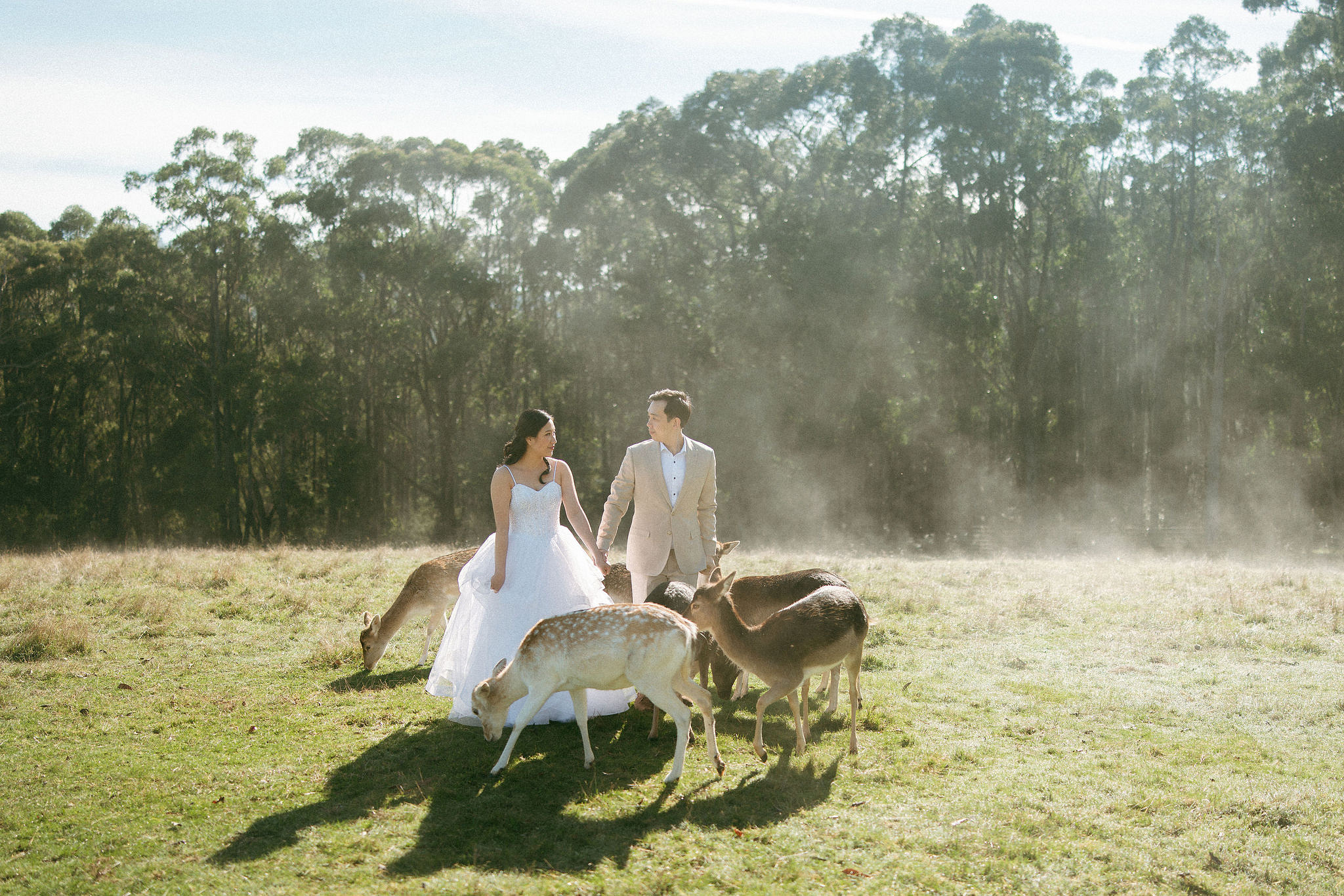 Melbourne Pre-Wedding Photoshoot | Gum Gully Farm, Studley Park & Carlton Gardens at Gum Gully Farm pre-wedding photo