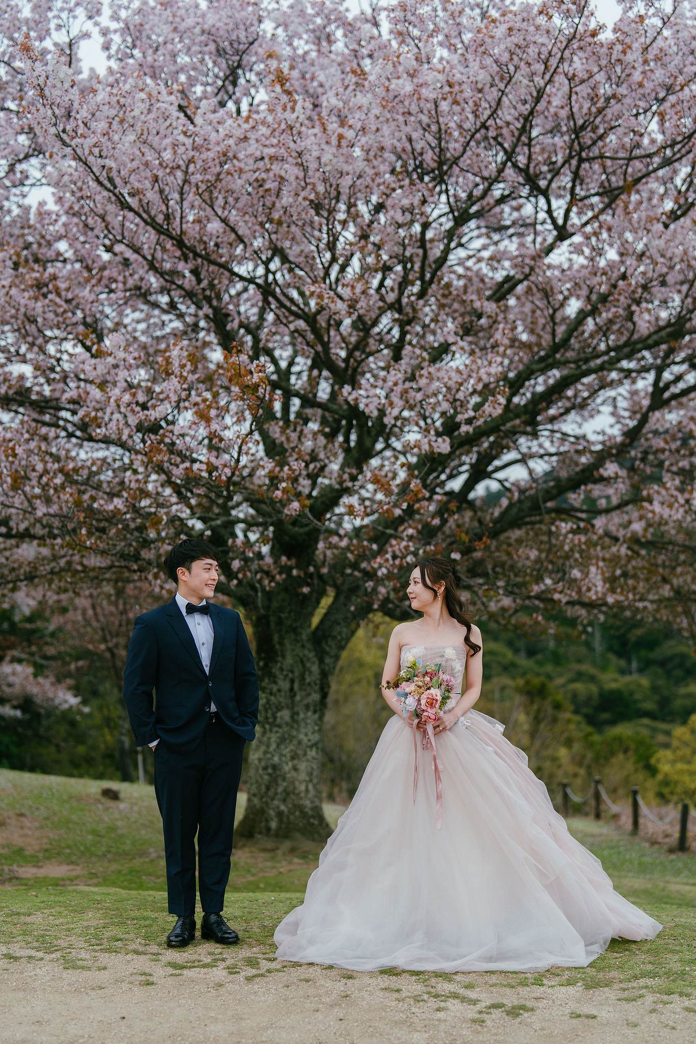 Kyoto Pre-Wedding Photoshoot | Fushimi Inari, Nara Deer Park & Mt. Wakakusa at Mt. Wakakusa pre-wedding photo