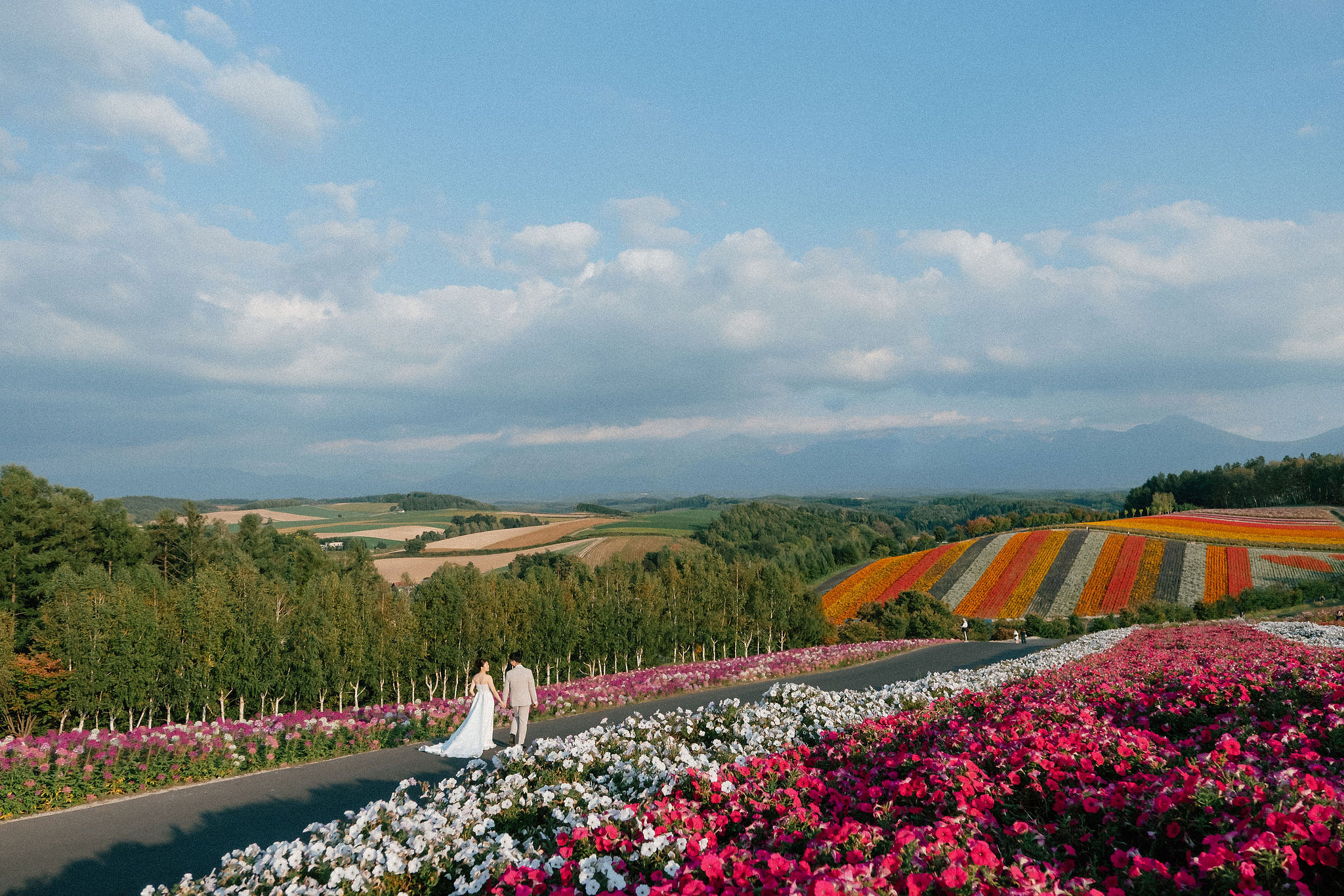 Furano, Hokkaido Pre-Wedding Photoshoot | Farm Chiyoda, Shikisai-no-oka & Ningle Terrace at Shikisai-no-oka pre-wedding photo