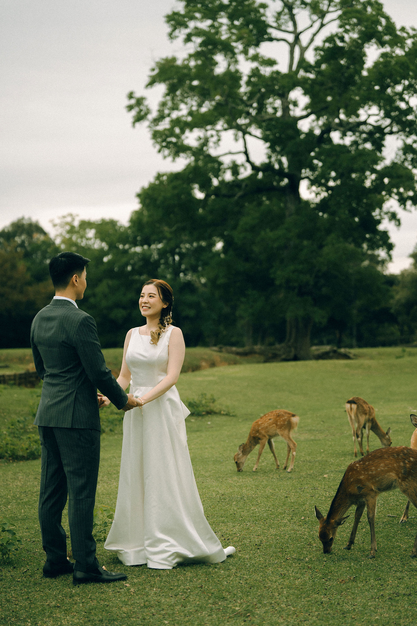 Kyoto Pre-Wedding Photoshoot | Fushimi Inari, Gion & Nara Park at Nara Park & Surrounding Hills pre-wedding photo
