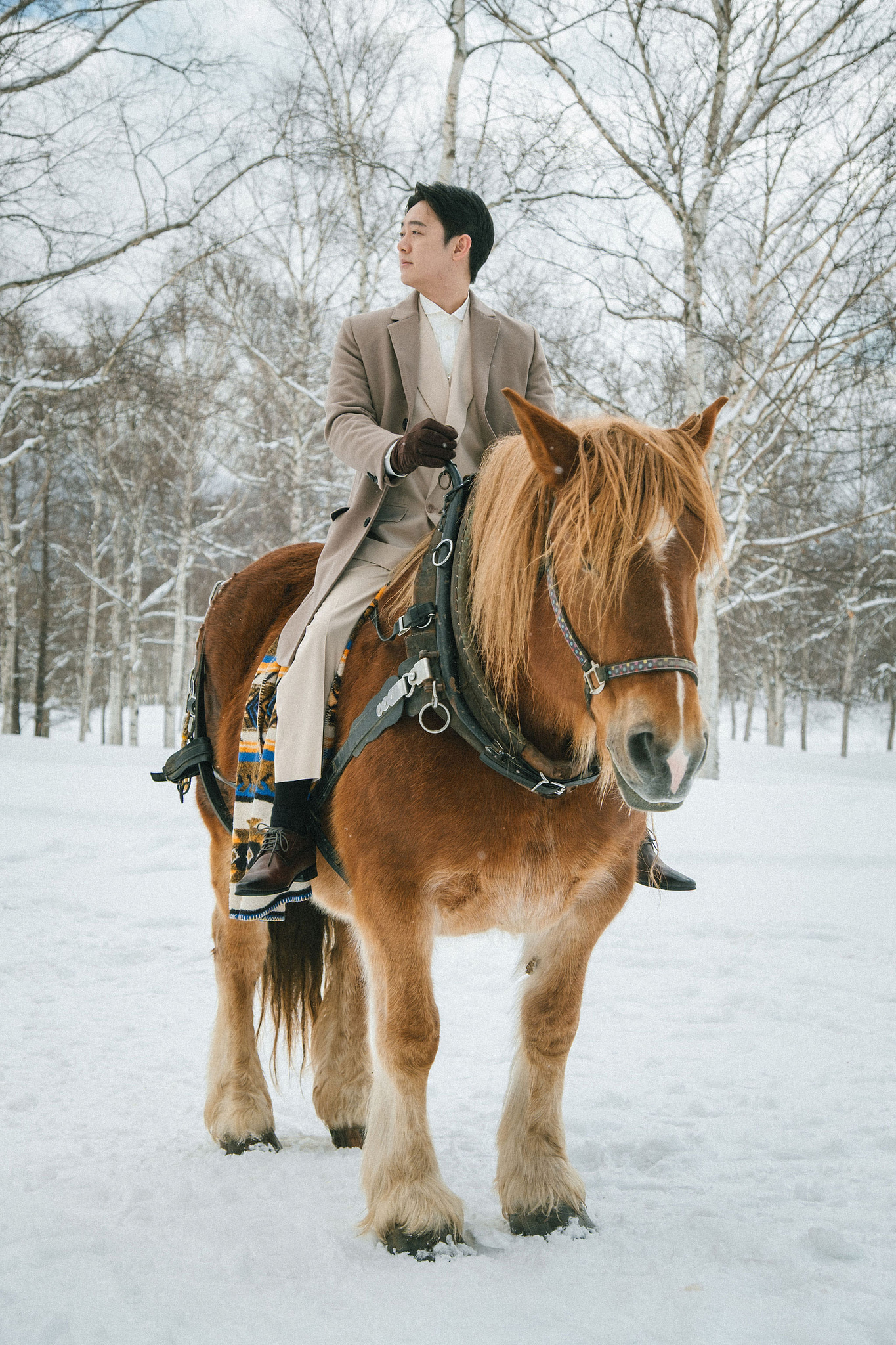 Hokkaido Pre-Wedding Photoshoot | Birch Forest, Rusutsu Resort & Hirafu Village at Birch Forest pre-wedding photo