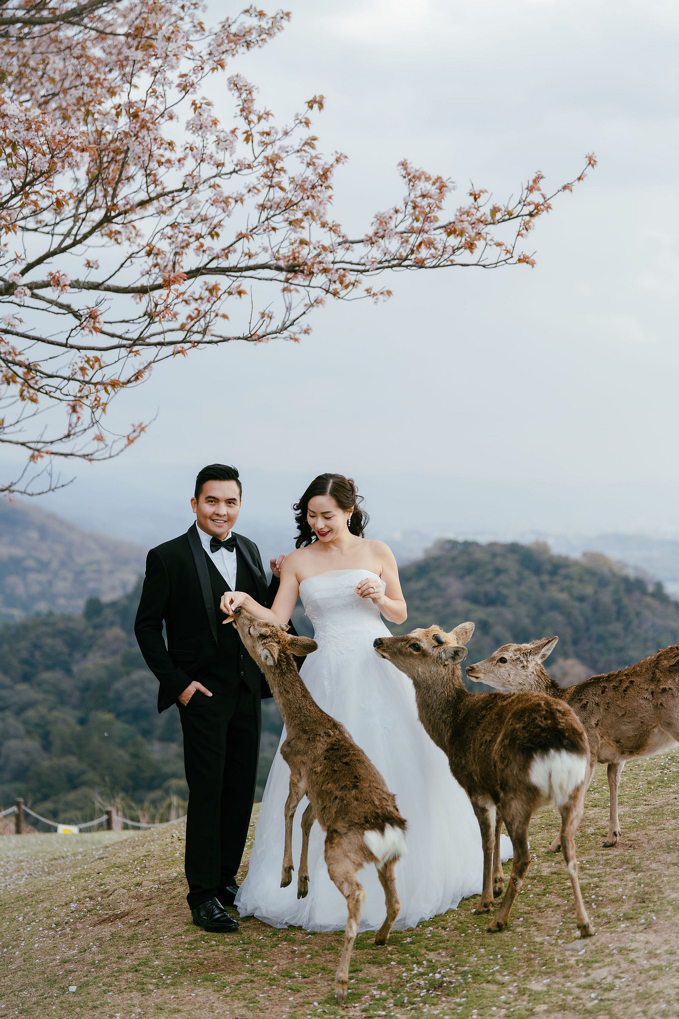 Kyoto Pre-Wedding Photoshoot | Gion Canal, Ninenzaka & Mount Wakakusa at Mount Wakakusa, Nara pre-wedding photo