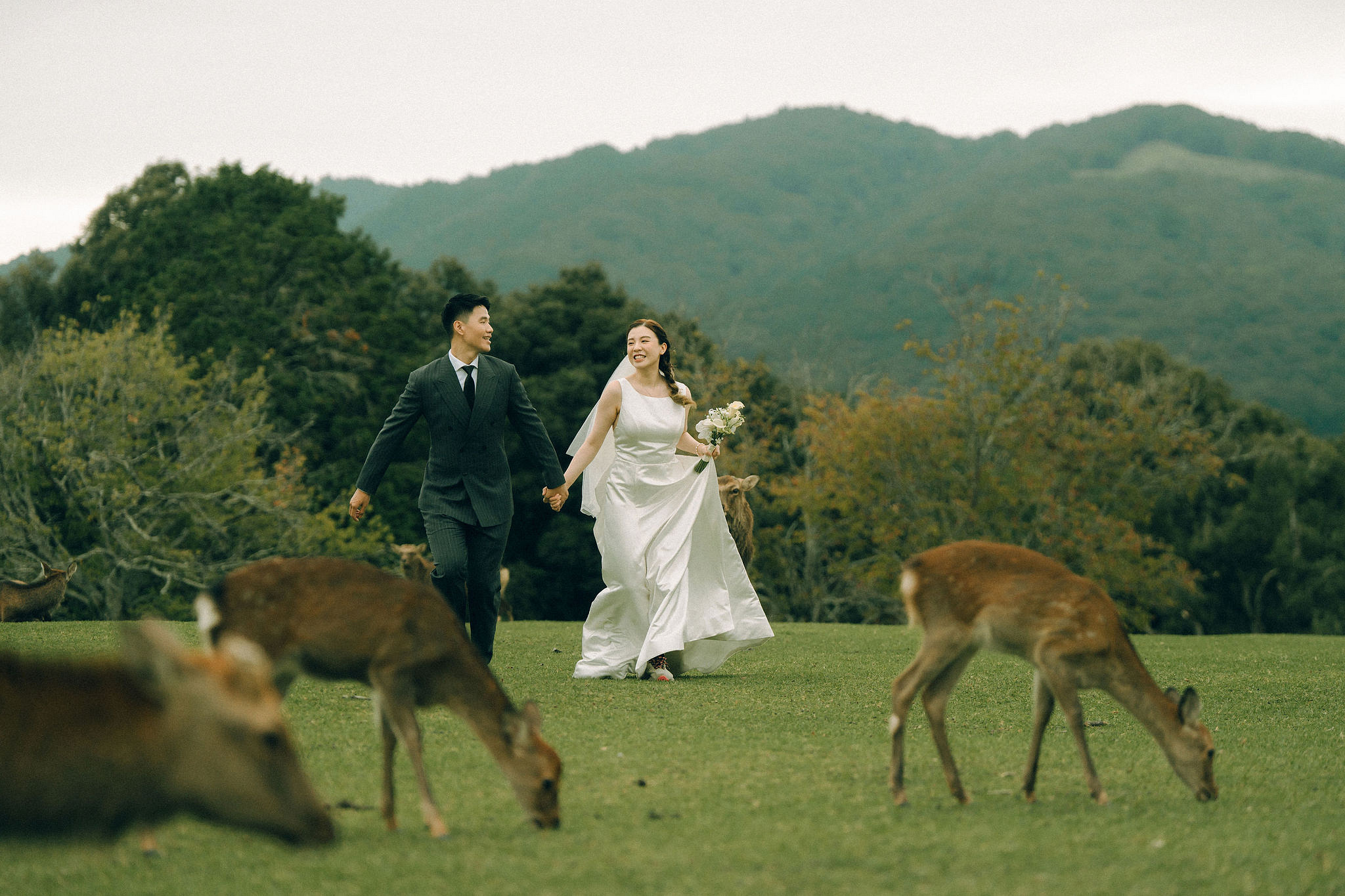 Kyoto Pre-Wedding Photoshoot | Fushimi Inari, Gion & Nara Park at Nara Park & Surrounding Hills pre-wedding photo