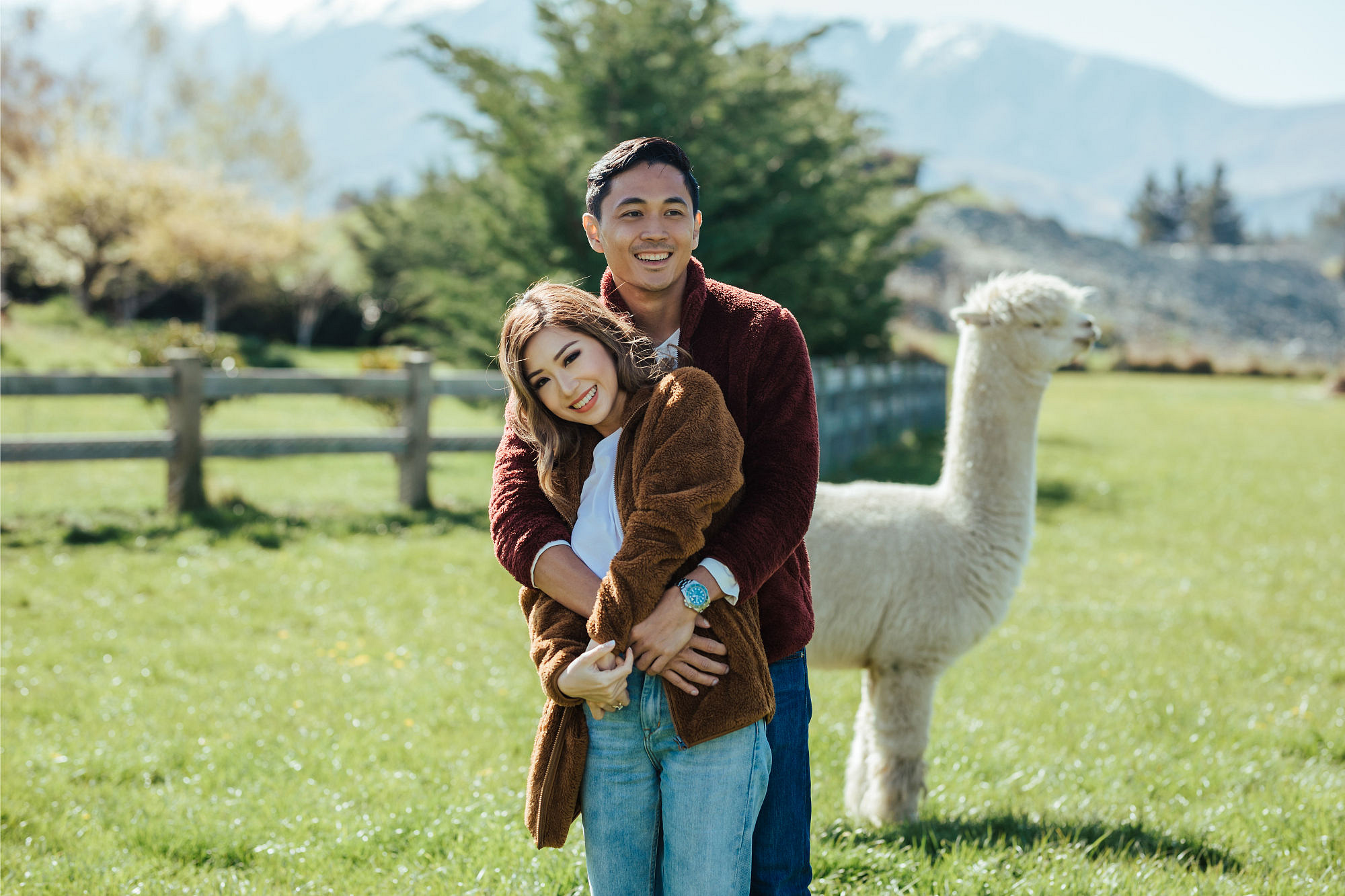 Kryz Uy And Slater Pre Wedding Photoshoot At Roy's Peak, Alpaca Farm And Arrowtown at Alpaca Farm pre-wedding photo