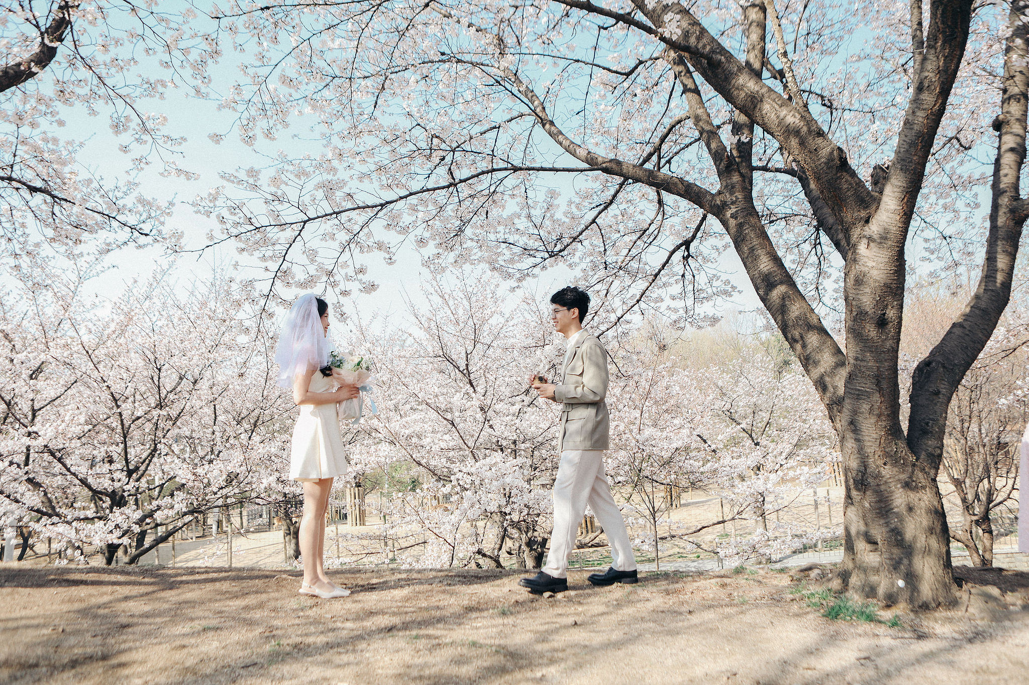 Seoul Proposal Photoshoot | Seoul Forest Pre-wedding at Seoul Forest pre-wedding photo
