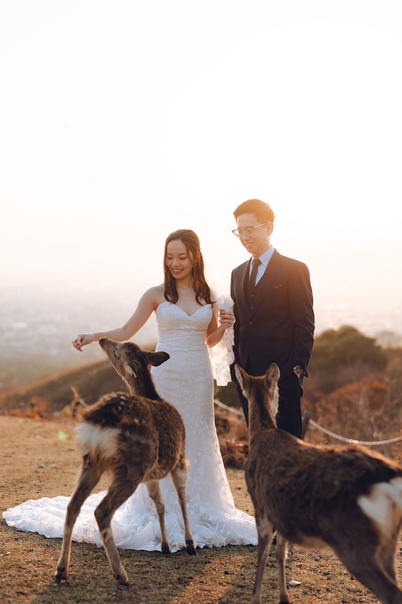 Kyoto Pre-Wedding Photoshoot | Kamo River, Nara Deer Park & Mt. Wakakusa at Mt. Wakakusa pre-wedding photo