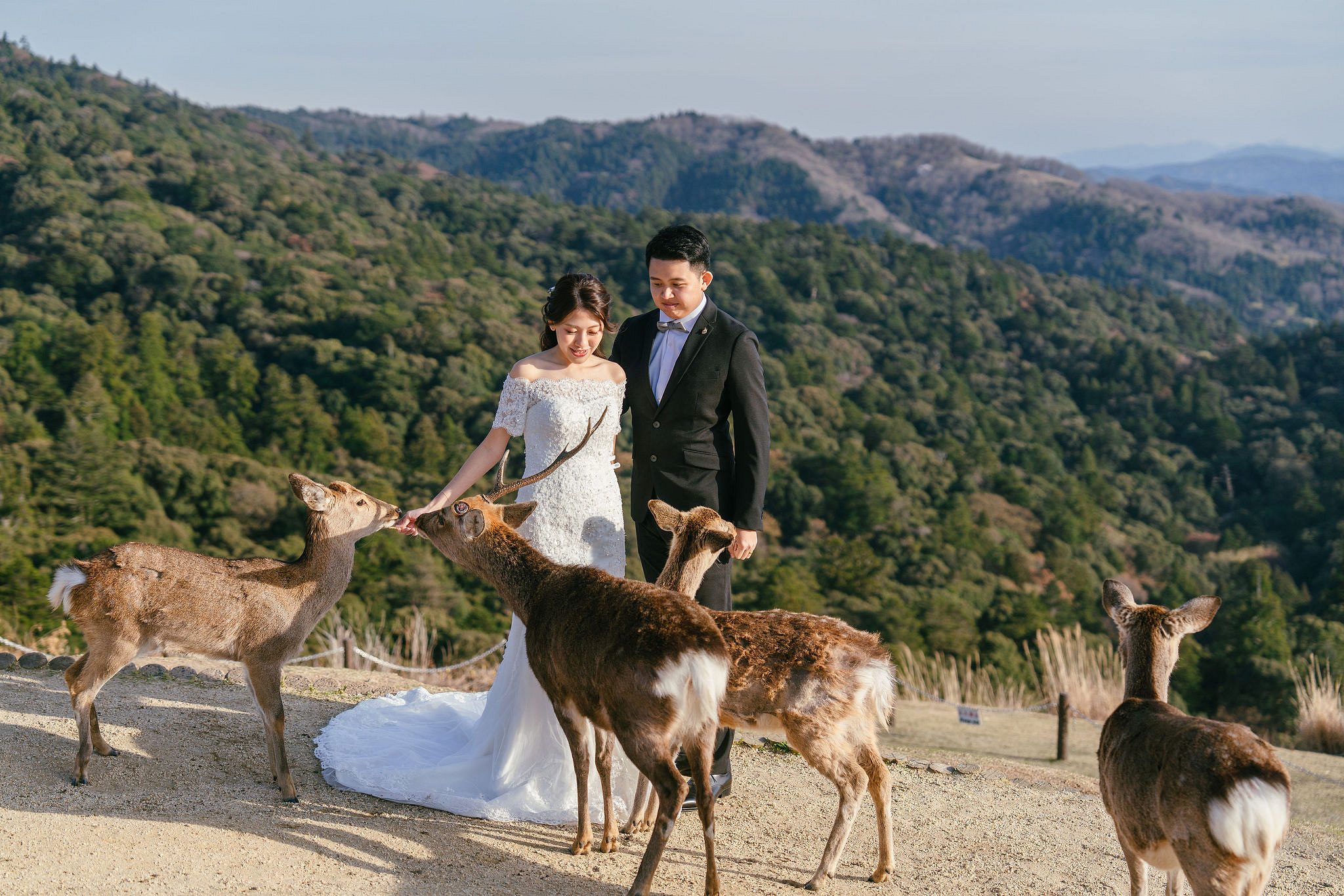 Kyoto Pre-Wedding Photoshoot | Nara Park, Gion & Mount Wakakusa at Mount Wakakusa pre-wedding photo