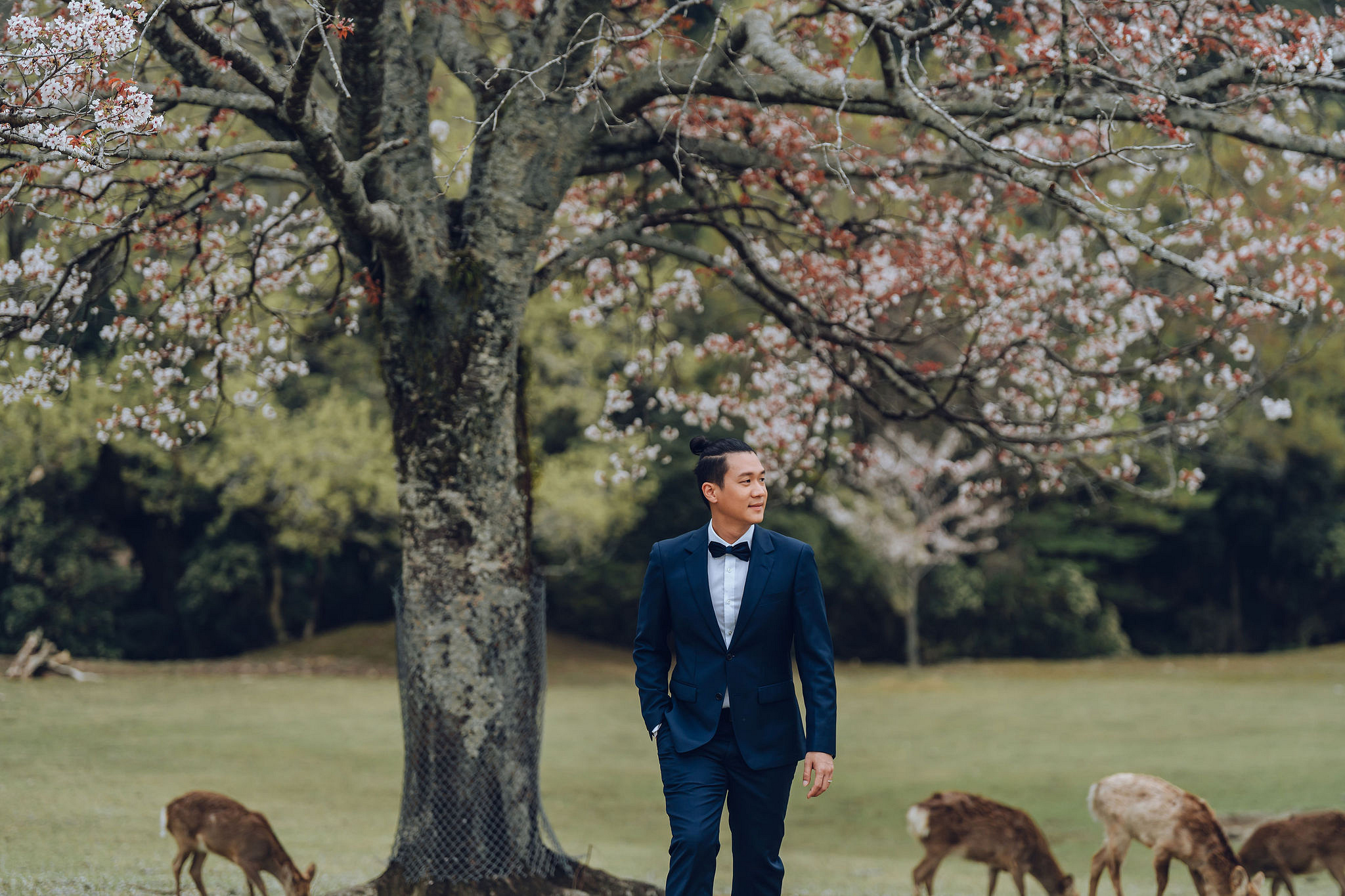 Kyoto Pre-Wedding Photoshoot | Historic Higashiyama Streets, Keage Incline & Nara Park at Nara Park pre-wedding photo