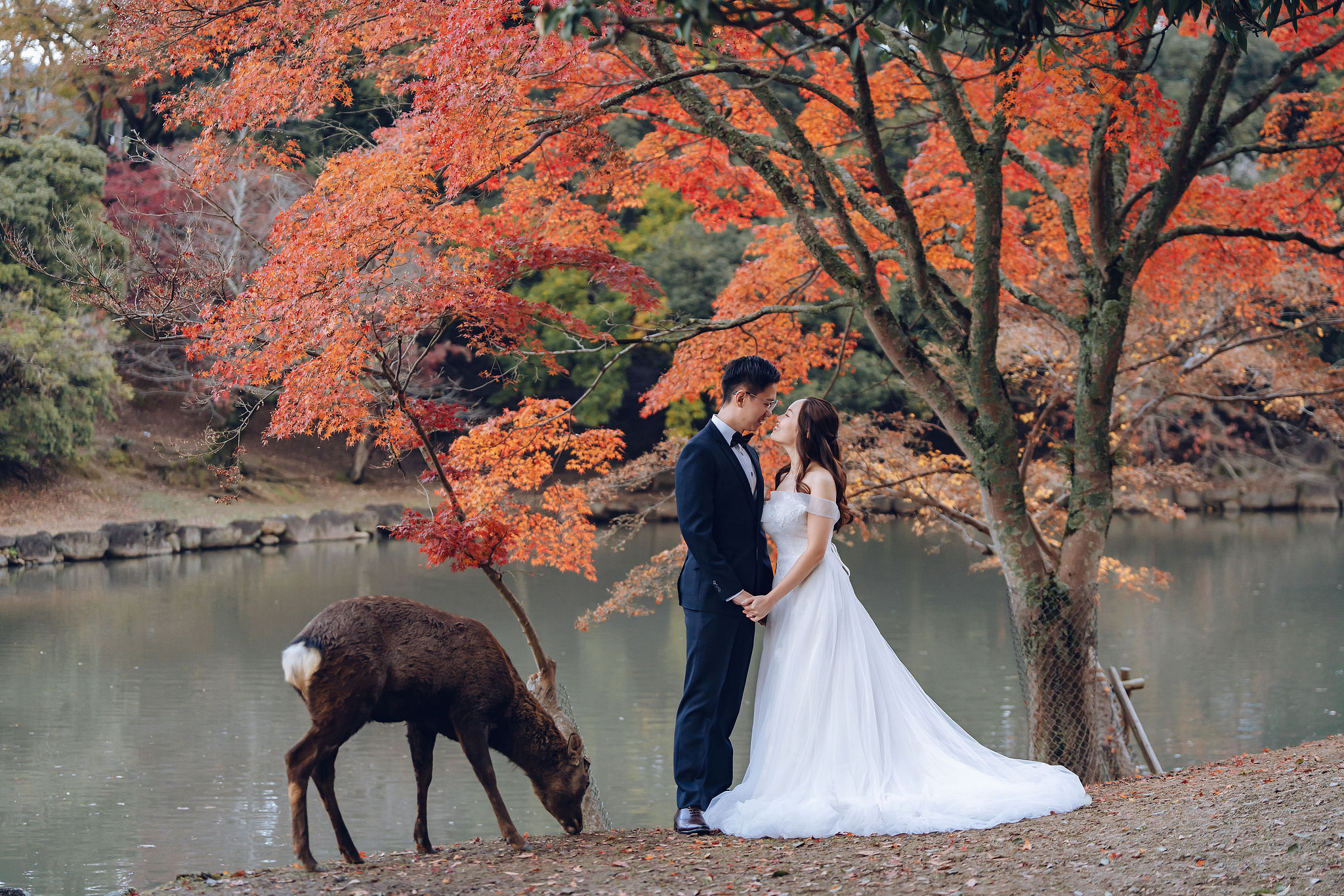 Kyoto Pre-Wedding Photoshoot | Kamo River, Nara Deer Park & Mt. Wakakusa at Nara Deer Park pre-wedding photo