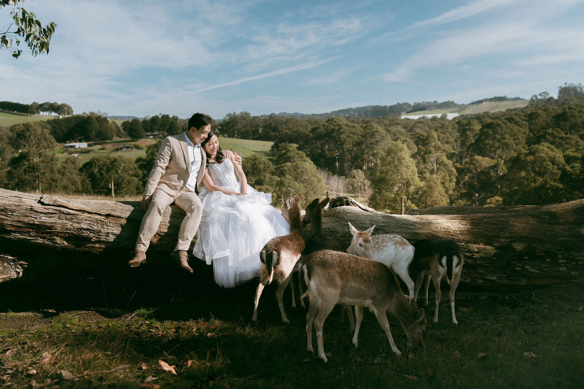 Melbourne Pre-Wedding Photoshoot | Gum Gully Farm, Studley Park & Carlton Gardens at Gum Gully Farm pre-wedding photo