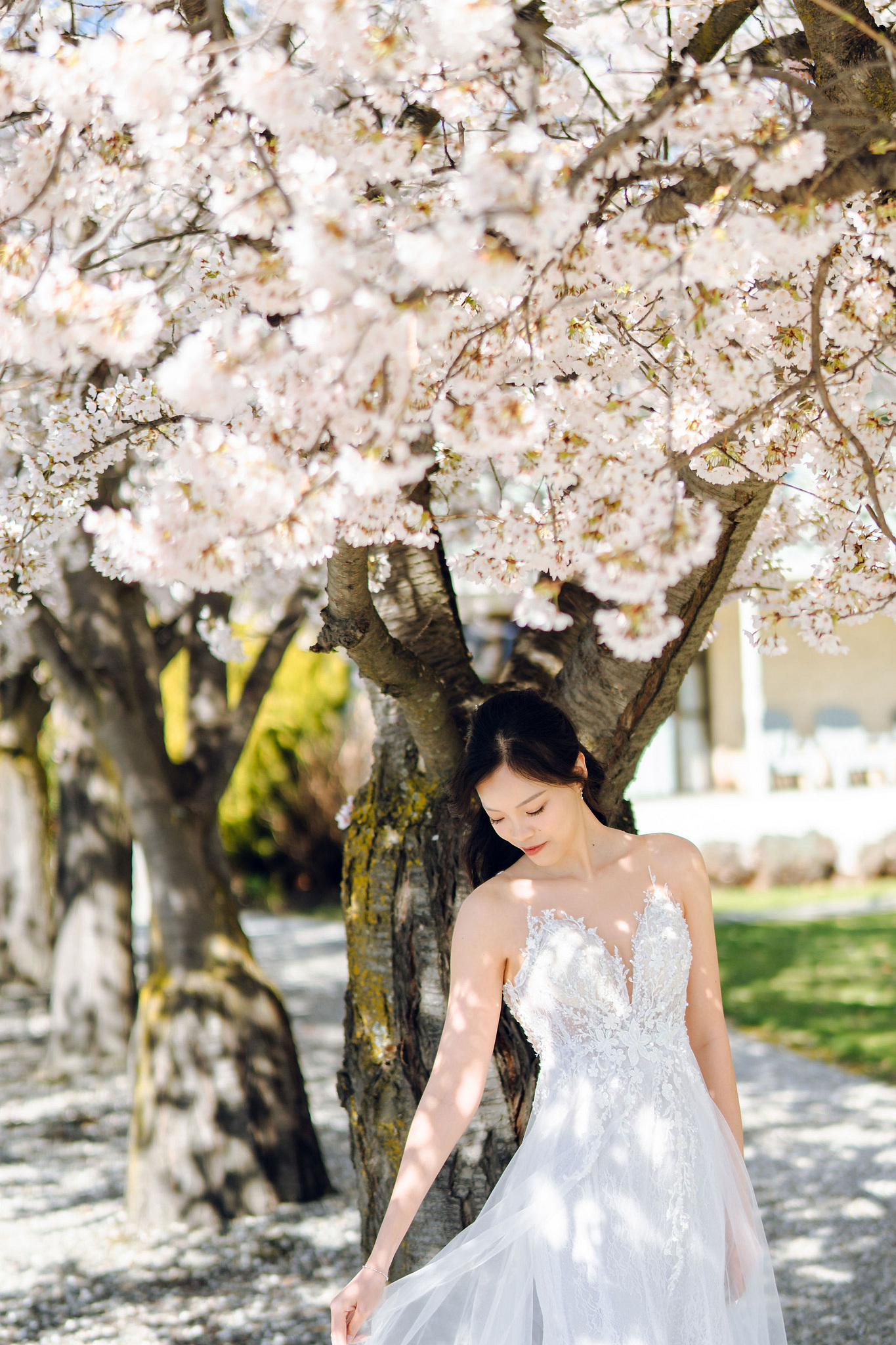 New Zealand Pre-Wedding Photoshoot | Cherry Blossoms, Coromandel Peak & Lake Wakatipu at Cherry Blossoms pre-wedding photo