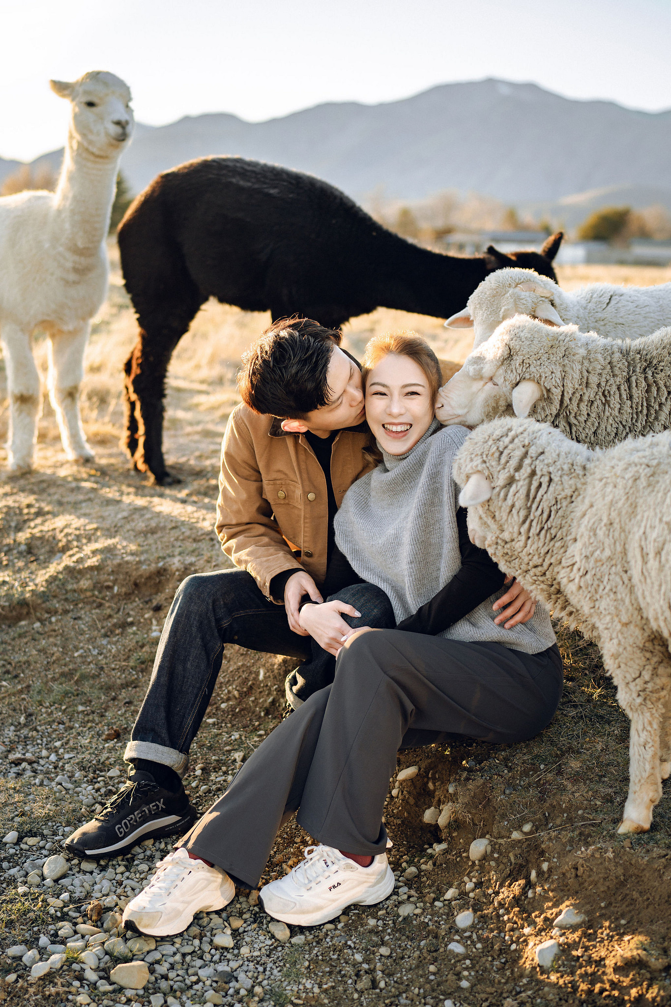 New Zealand Pre-Wedding Photoshoot | Alpaca Farm, Mt John, Lake Tekapo, Mount Cook National Park, Glacier Lake & Omarama Clay Cliffs at Alpaca Farm & Mt John pre-wedding photo