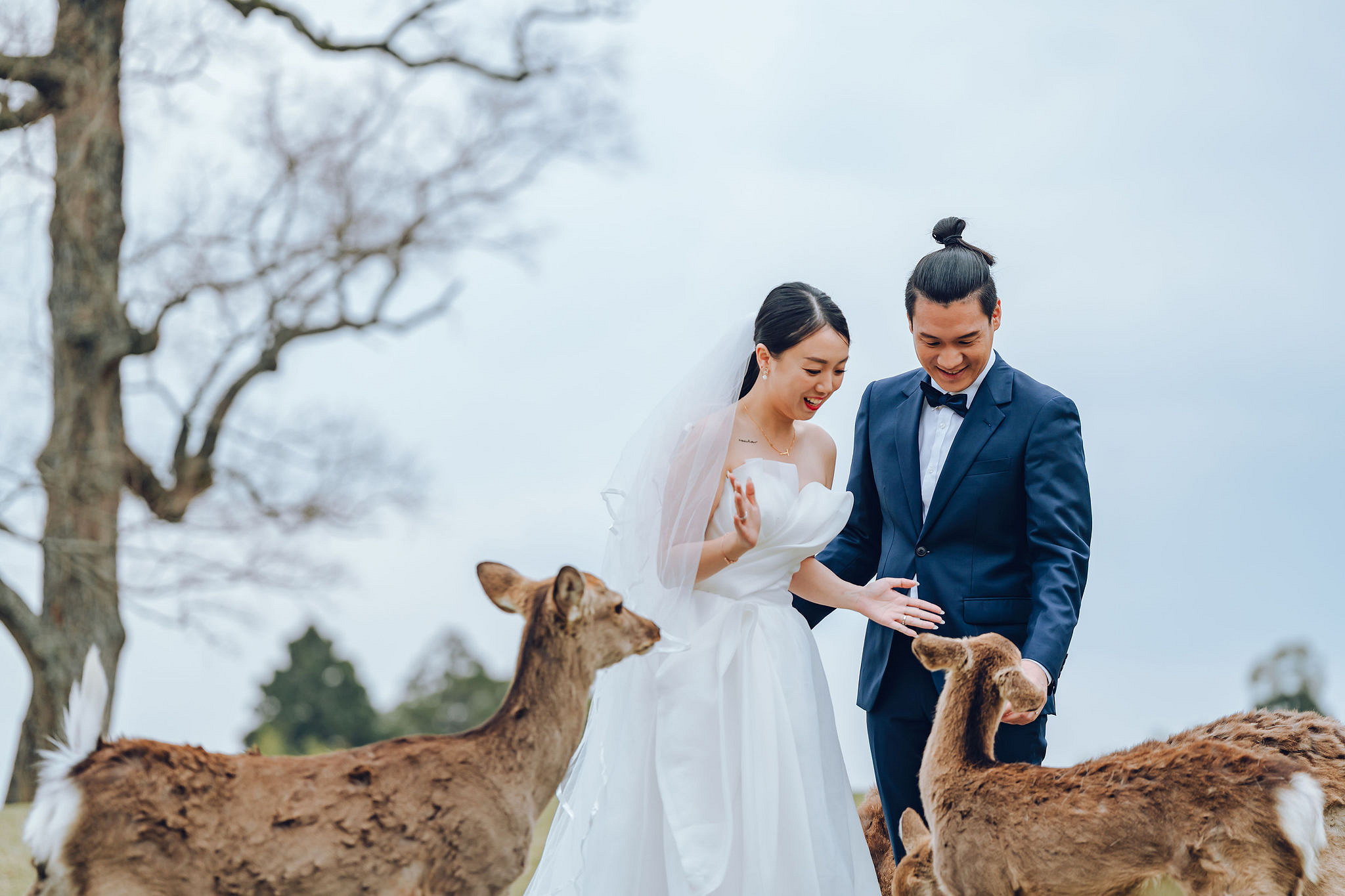 Kyoto Pre-Wedding Photoshoot | Historic Higashiyama Streets, Keage Incline & Nara Park at Nara Park pre-wedding photo
