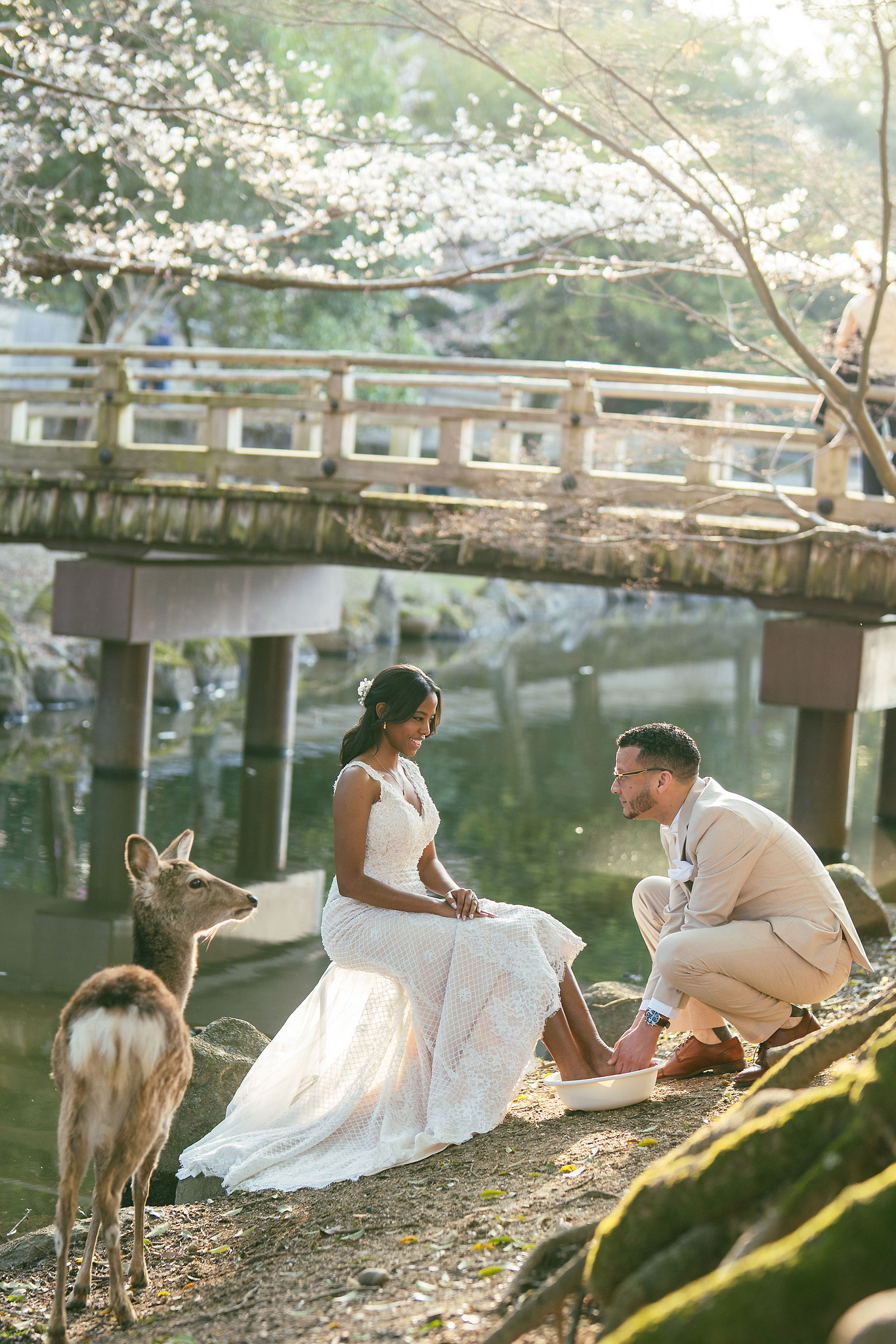 Kyoto Post-Wedding Photoshoot | Gion, Nara Deer Park & Mt. Wakakusa at Nara Deer Park pre-wedding photo