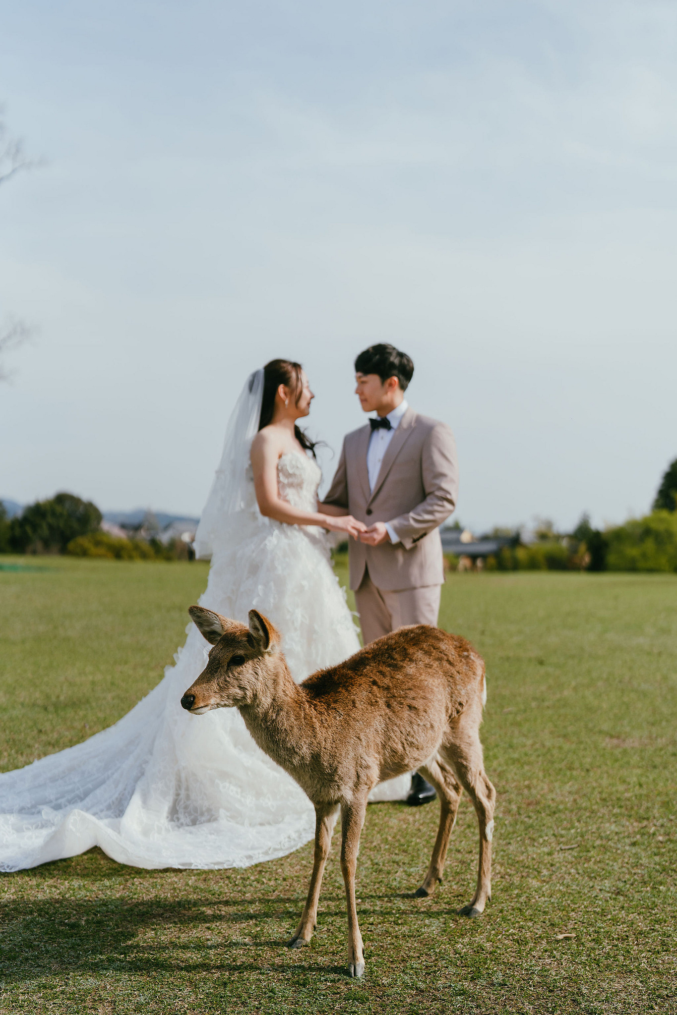 Kyoto Pre-Wedding Photoshoot | Fushimi Inari, Nara Deer Park & Mt. Wakakusa at Mt. Wakakusa pre-wedding photo