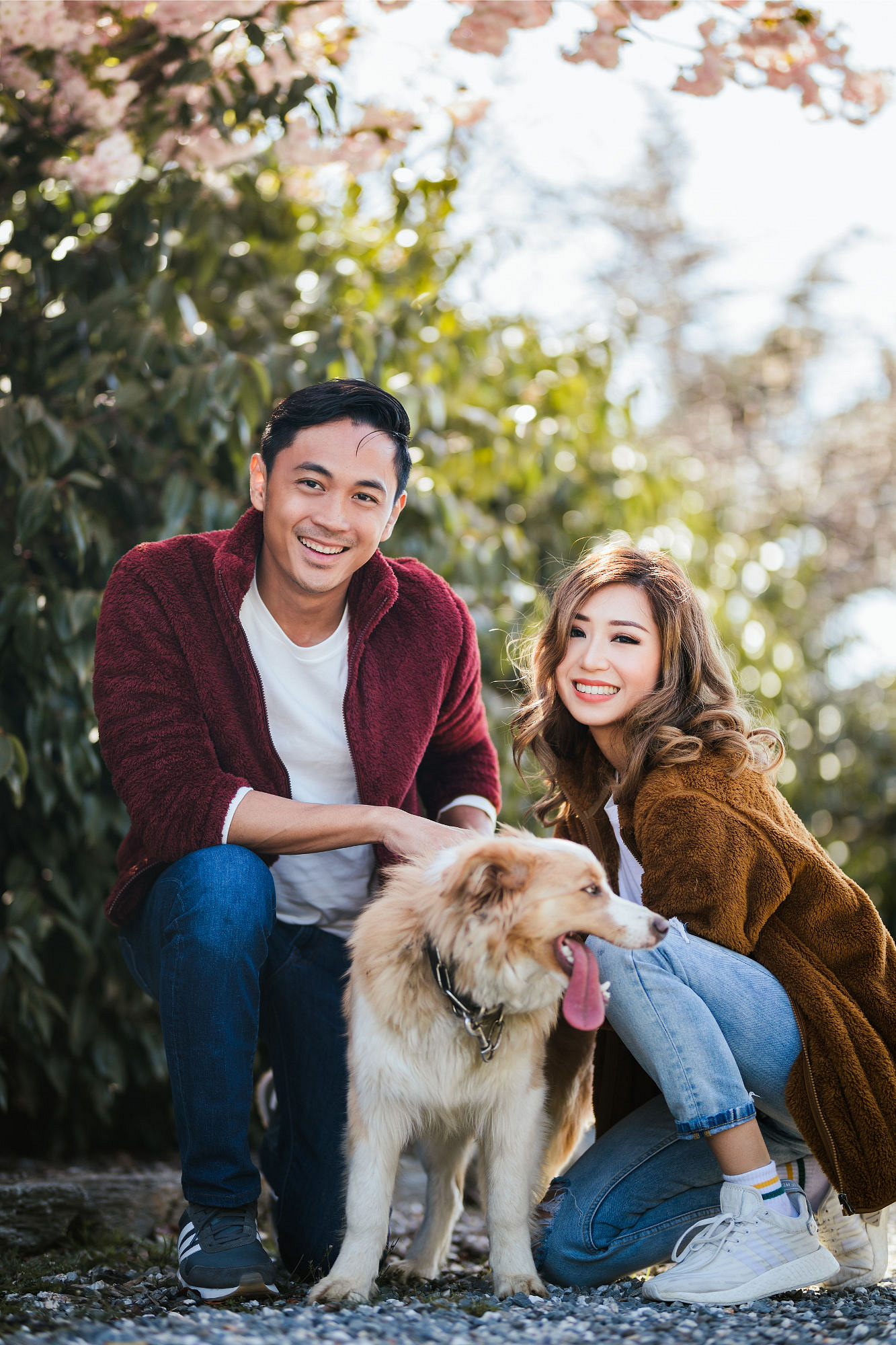 Kryz Uy And Slater Pre Wedding Photoshoot At Roy's Peak, Alpaca Farm And Arrowtown at Alpaca Farm pre-wedding photo