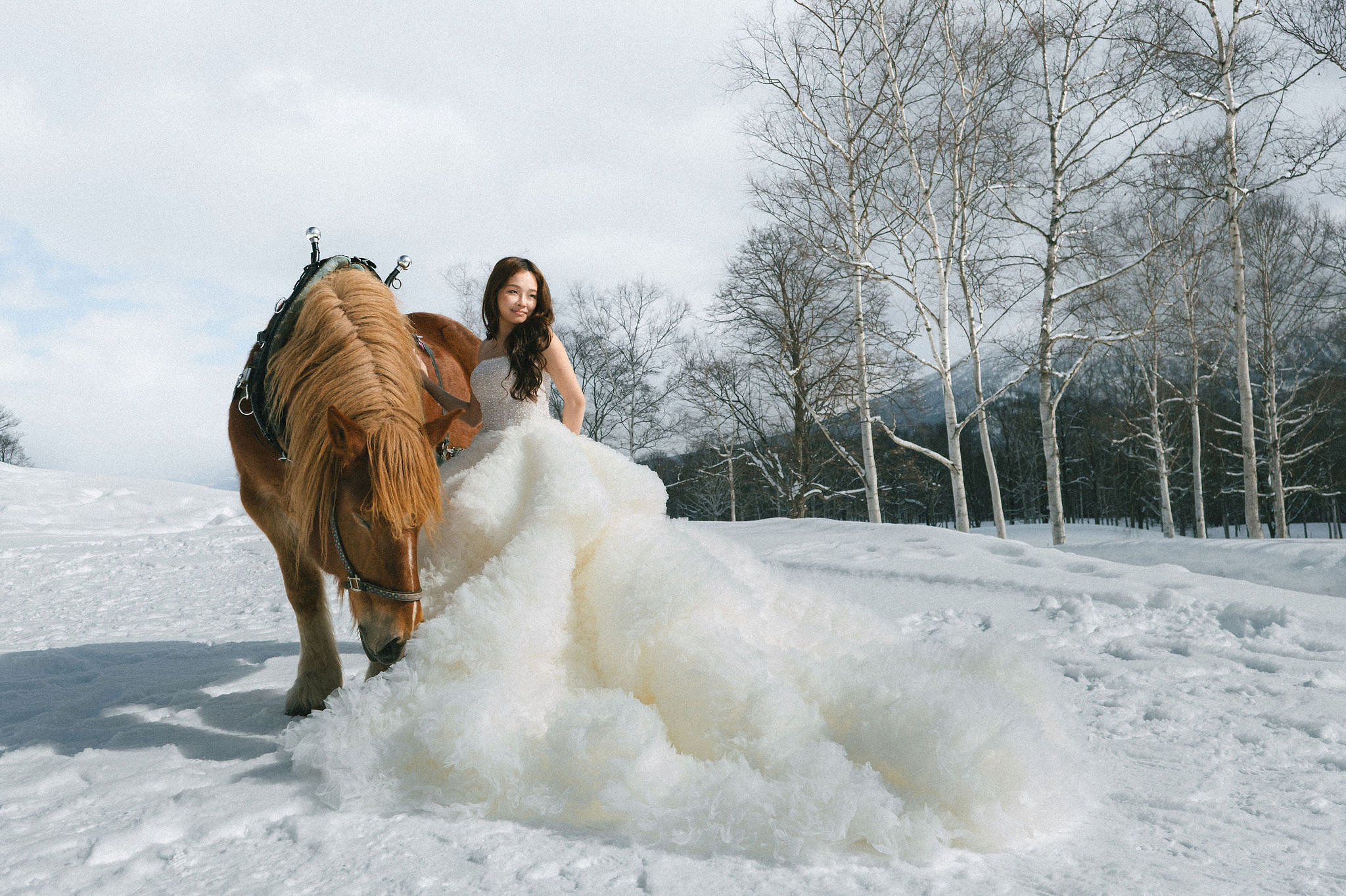 Hokkaido Pre-Wedding Photoshoot | Birch Forest, Rusutsu Resort & Hirafu Village at Birch Forest pre-wedding photo