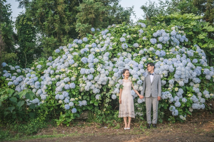 Korea Outdoor Pre-Wedding Photoshoot At Jeju Island with Buckwheat Flower and Hydrangea by Geunjoo on OneThreeOneFour 7