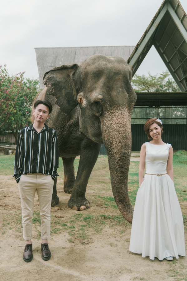 Taiwan Outdoor Pre-Wedding Photoshoot At Tainan Zoo  by Star  on OneThreeOneFour 0