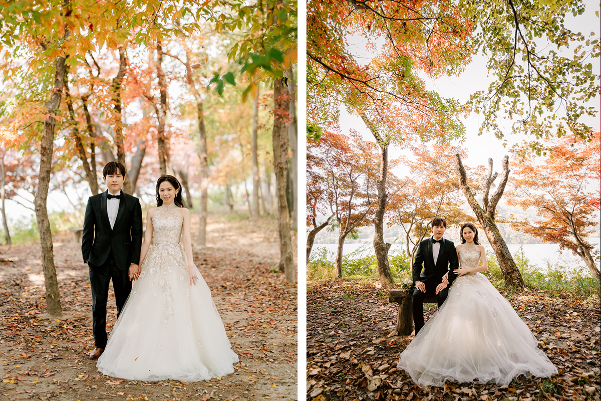 Korea Nami Island Romantic Autumn Pre-Wedding Photoshoot by Jungyeol on OneThreeOneFour 1