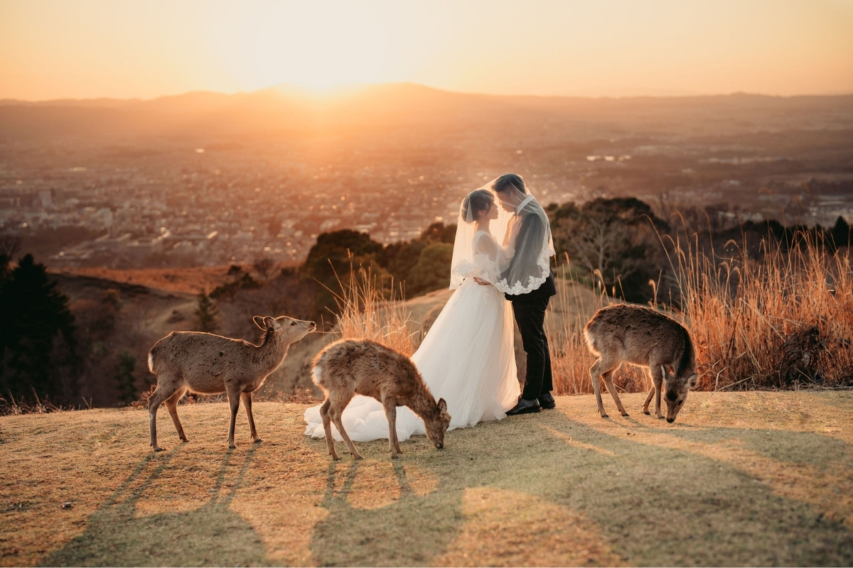 Kyoto Pre-Wedding Photoshoot with Eikando Temple, Kinosaki, Nara Deer Park & Mt. Wakakusa by Kinosaki on OneThreeOneFour 29