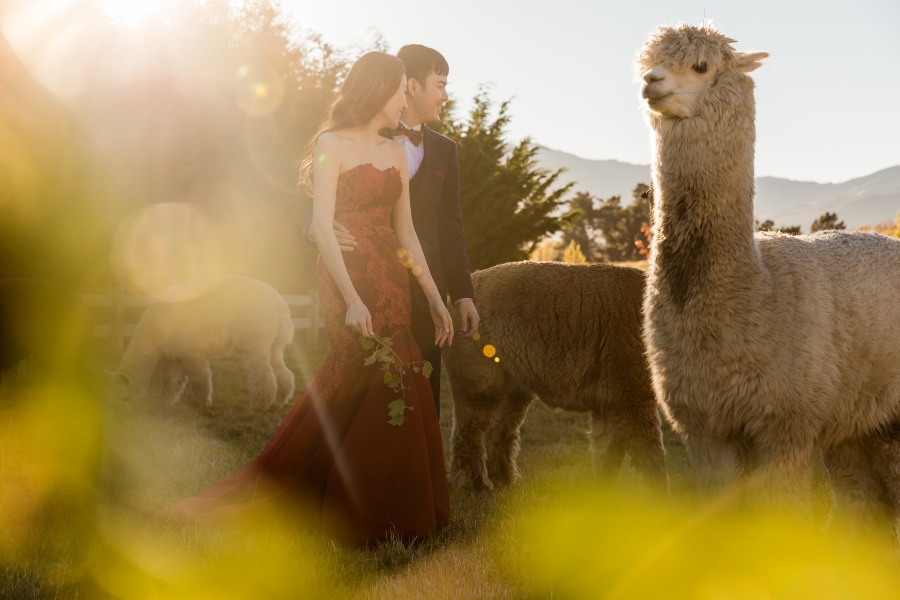 A&D: New Zealand Pre-wedding Photoshoot in Autumn by Felix on OneThreeOneFour 27
