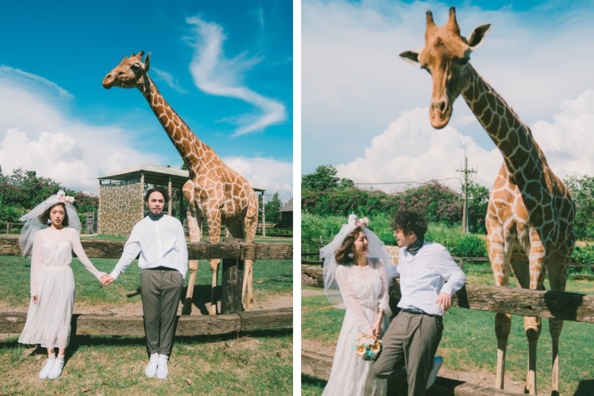 Taiwan Pre-Wedding Photoshoot Zoo Vintage Couple Outfit Streets Retro Vibes by  on OneThreeOneFour 1