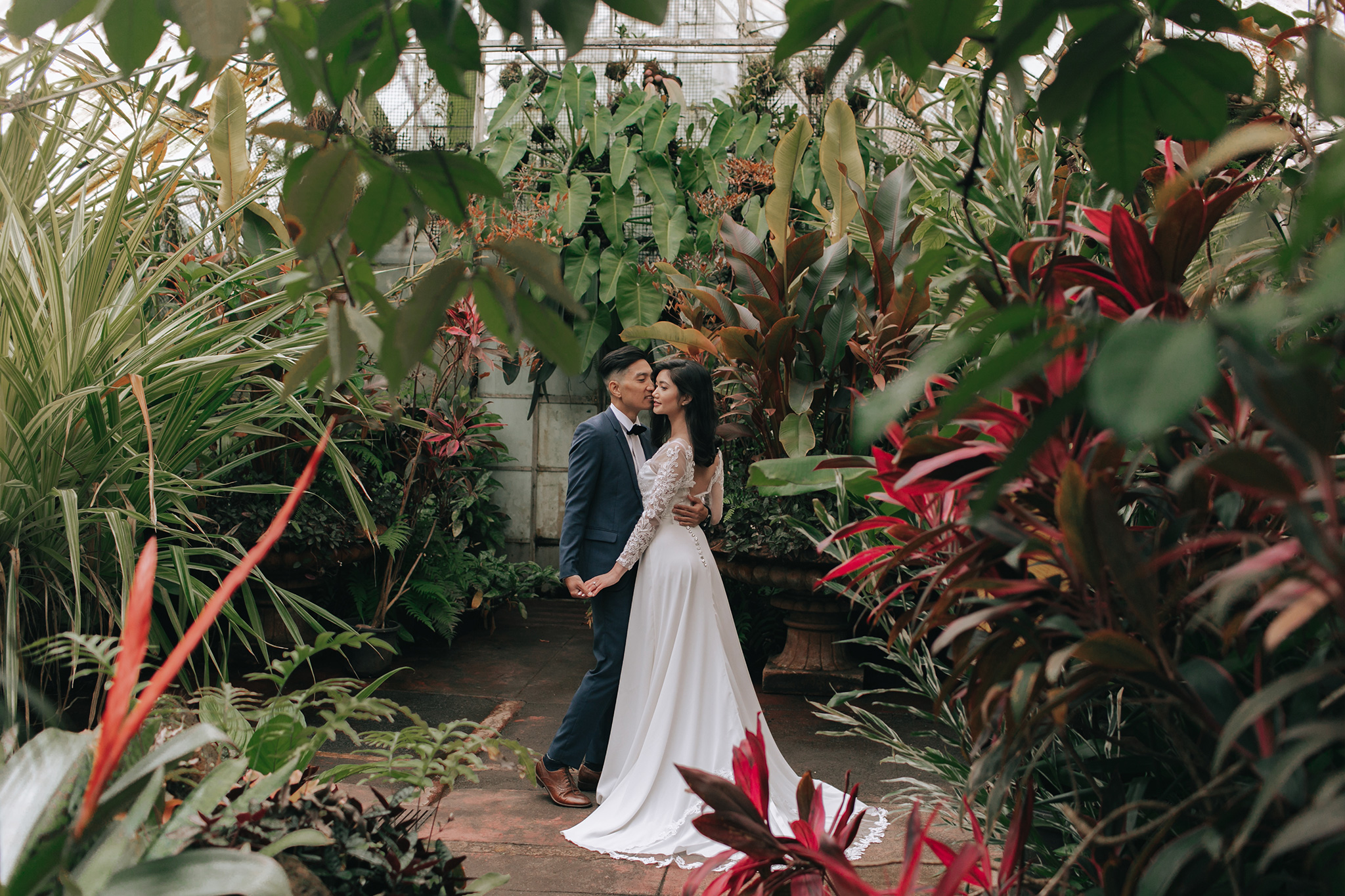 Melbourne Pre-Wedding Photoshoot in Royal Botanical Gardens & Redwood Forest by Freddie on OneThreeOneFour 11