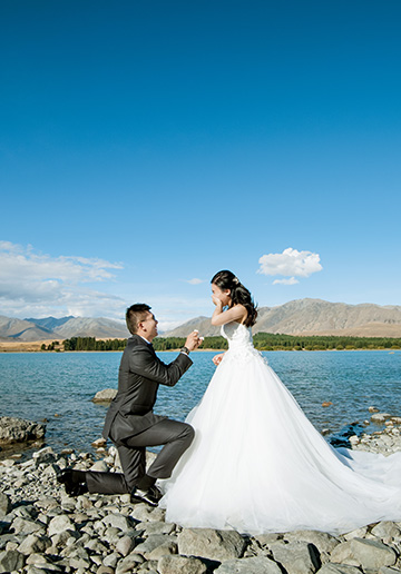 New Zealand Starry Night Prewedding Photoshoot with Alpaca Farm 