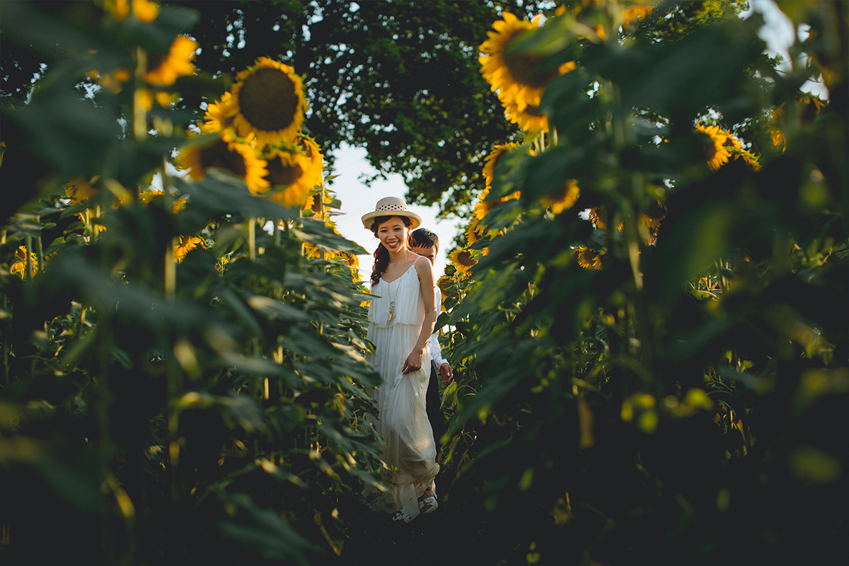 Provence Southern France Pre-Wedding Photoshoot at Lavender Fields & Sunflower Farm by Vin on OneThreeOneFour 20