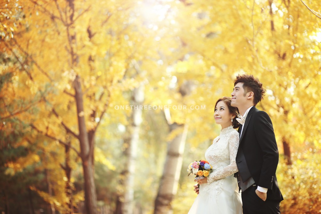 Studio Bong Korea Autumn Outdoor Pre-Wedding Photography - Past Clients by Bong Studio on OneThreeOneFour 2