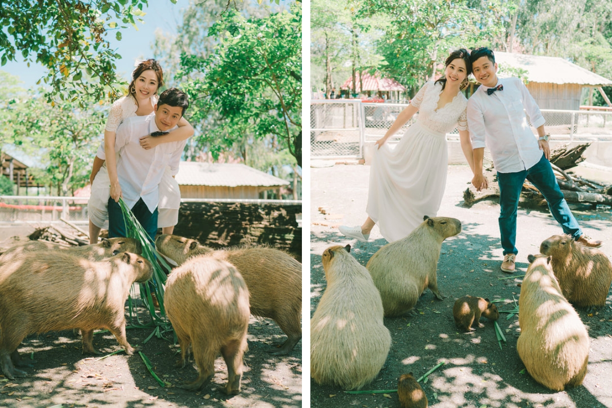 Taiwan Pre-Wedding Photoshoot Zoo Lush Greenery Beach by  on OneThreeOneFour 3