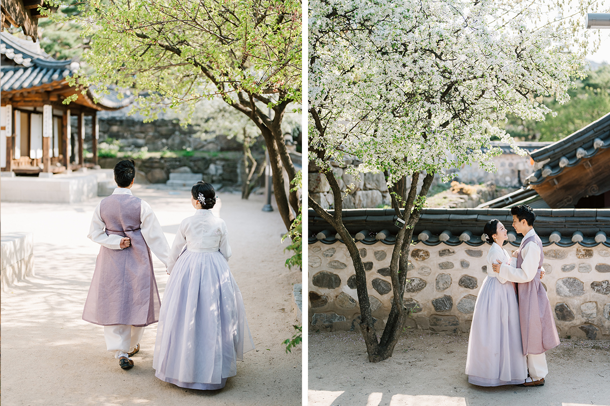 Australia Couple Hanbok Photoshoot in Korea by Jungyeol on OneThreeOneFour 2