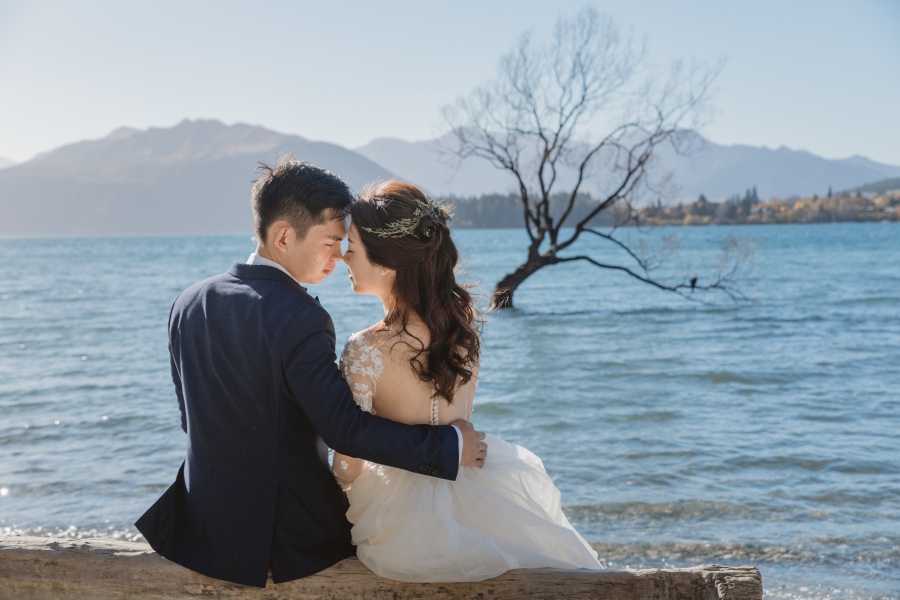 New Zealand Pre-Wedding Photoshoot At Coromandel Peak, Arrowtown And Alpaca Farm by Fei on OneThreeOneFour 10