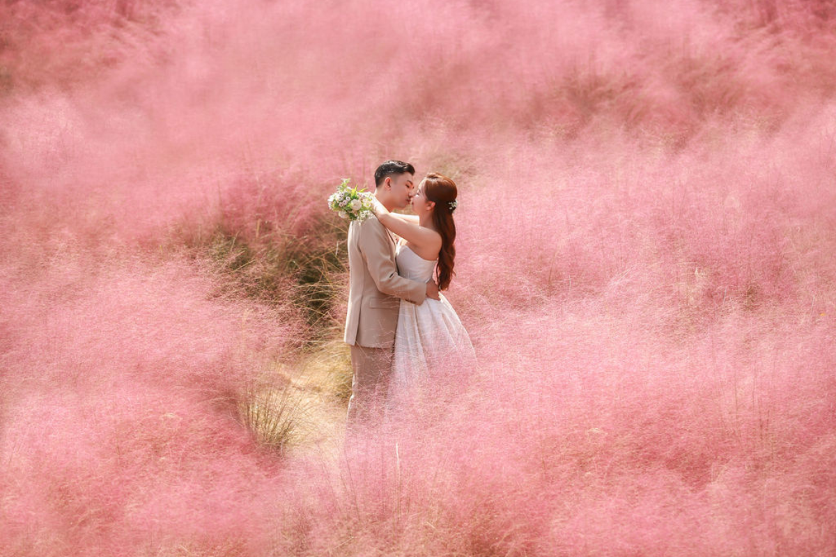 濟州秋季婚前拍攝：在濟州莊園布朗克、粉紅穆利花園和森林之路 by Byunghyun on OneThreeOneFour 0