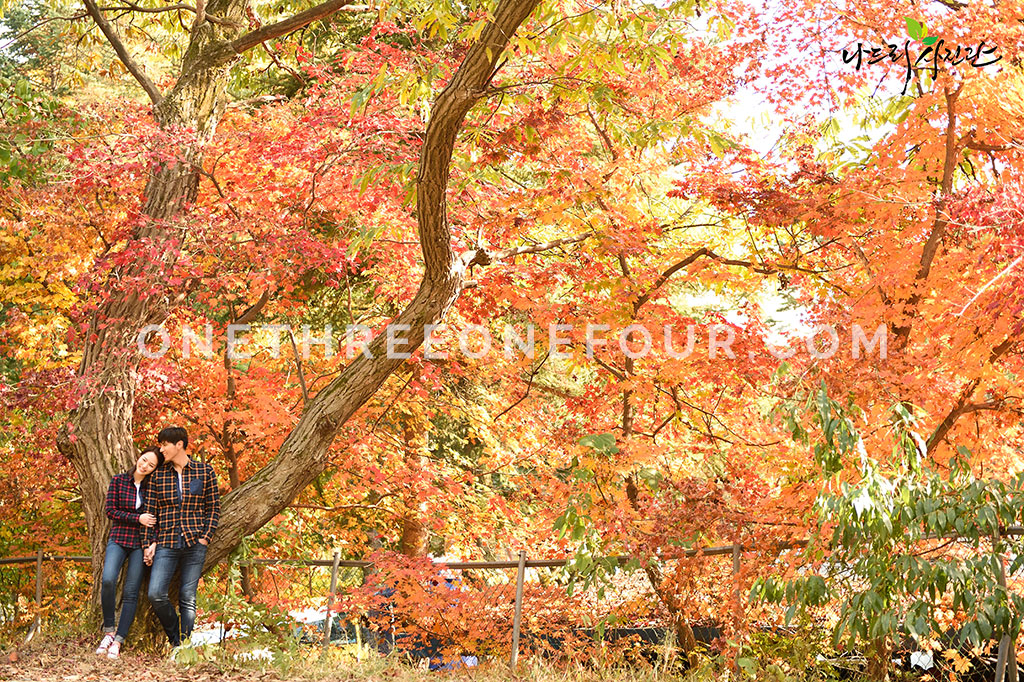 Korean Studio Pre-Wedding Photography: Autumn (Outdoor) by Nadri Studio on OneThreeOneFour 15