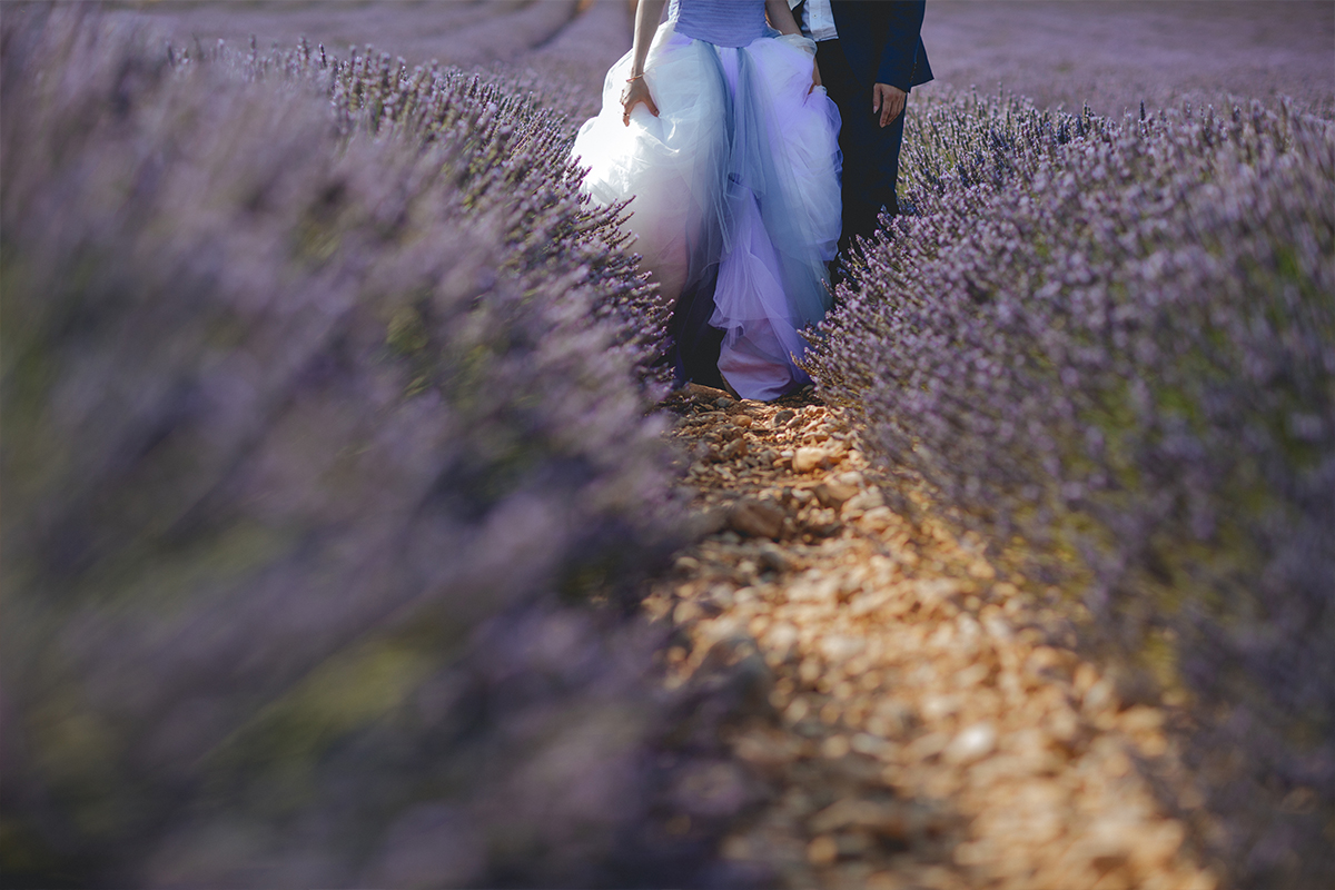 Provence Southern France Pre-Wedding Photoshoot at Lavender Fields & Sunflower Farm by Vin on OneThreeOneFour 4
