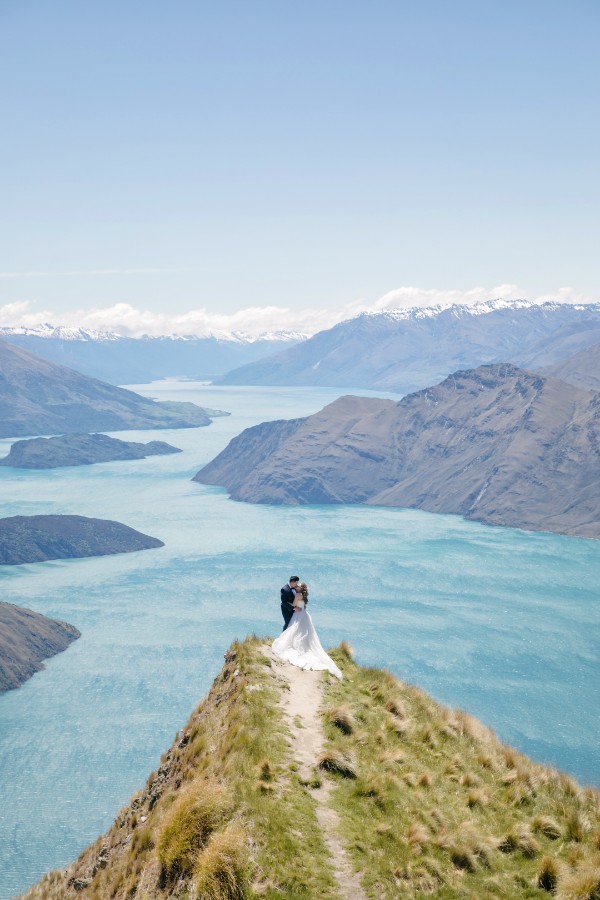 K&M: Dreamy pre-wedding in New Zealand at Coromandel Peak and alpaca farm during Lupin season  by Fei on OneThreeOneFour 1