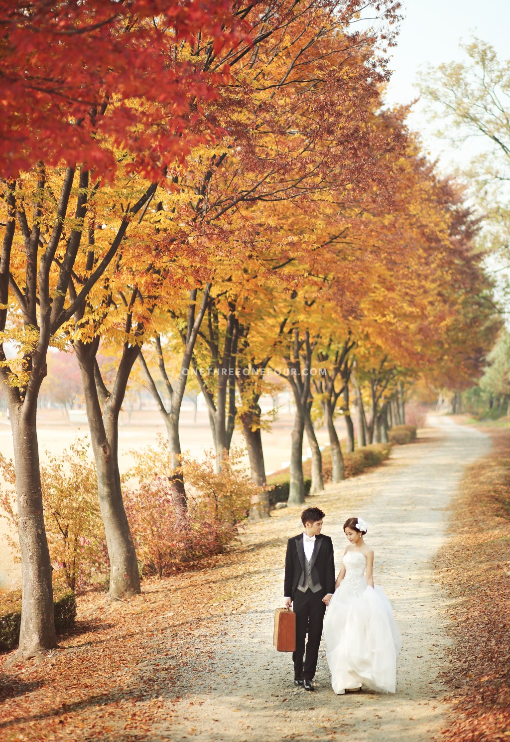 Studio Bong Korea Autumn Outdoor Pre-Wedding Photography - Past Clients by Bong Studio on OneThreeOneFour 6