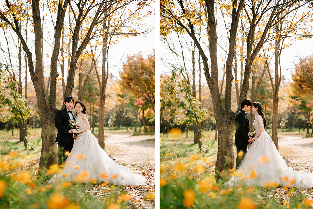 Korea Nami Island Romantic Autumn Pre-Wedding Photoshoot by Jungyeol on OneThreeOneFour 10