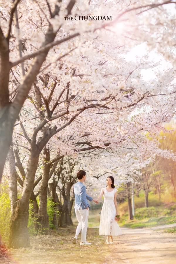 Chungdam Studio Cherry Blossoms Sample - Korean Pre-Wedding Studio by Chungdam Studio on OneThreeOneFour 8