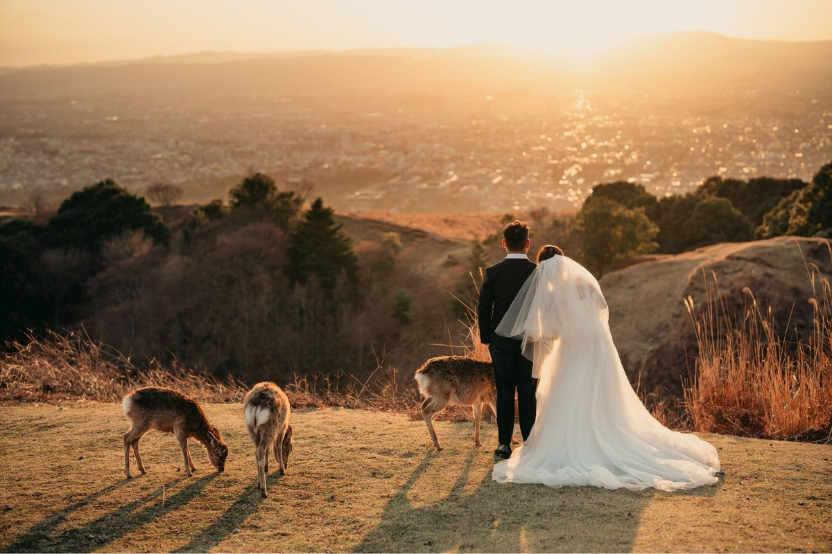 Kyoto Pre-Wedding Photoshoot with Eikando Temple, Kinosaki, Nara Deer Park & Mt. Wakakusa by Kinosaki on OneThreeOneFour 25