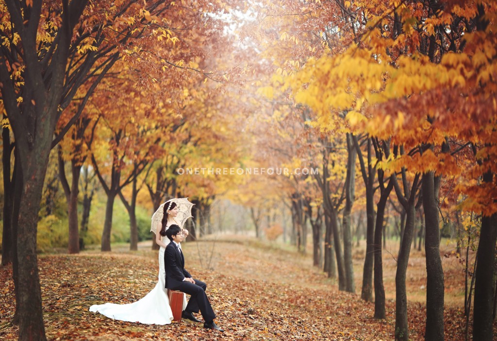 Studio Bong Korea Autumn Outdoor Pre-Wedding Photography - Past Clients by Bong Studio on OneThreeOneFour 5