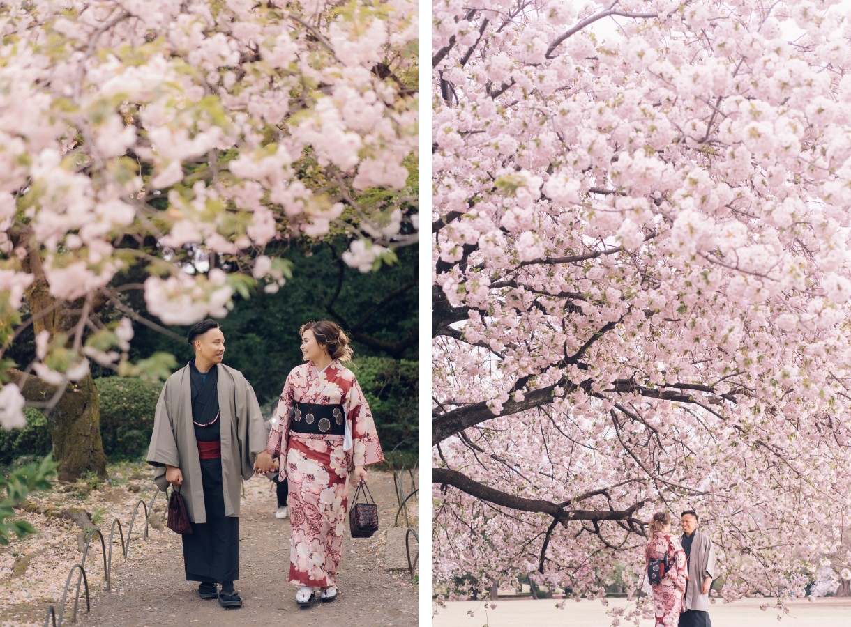 J: Massive cherry blossoms in Tokyo during Malay couple’s pre-wedding by Lenham on OneThreeOneFour 5