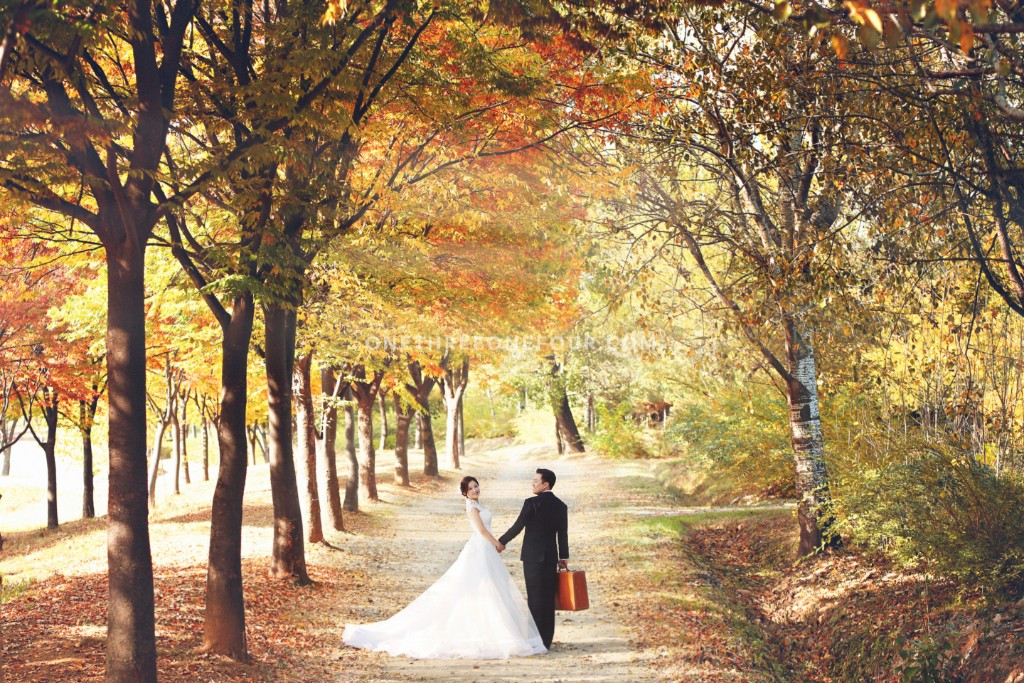 Studio Bong Korea Autumn Outdoor Pre-Wedding Photography - Past Clients by Bong Studio on OneThreeOneFour 0